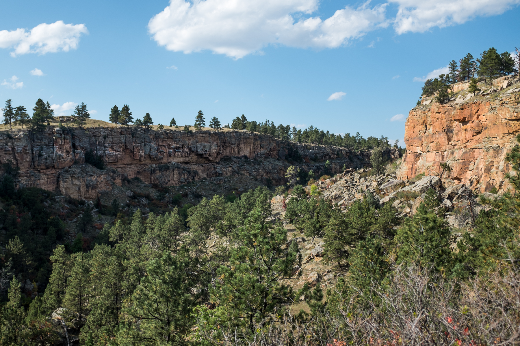 Sheep Canyon.