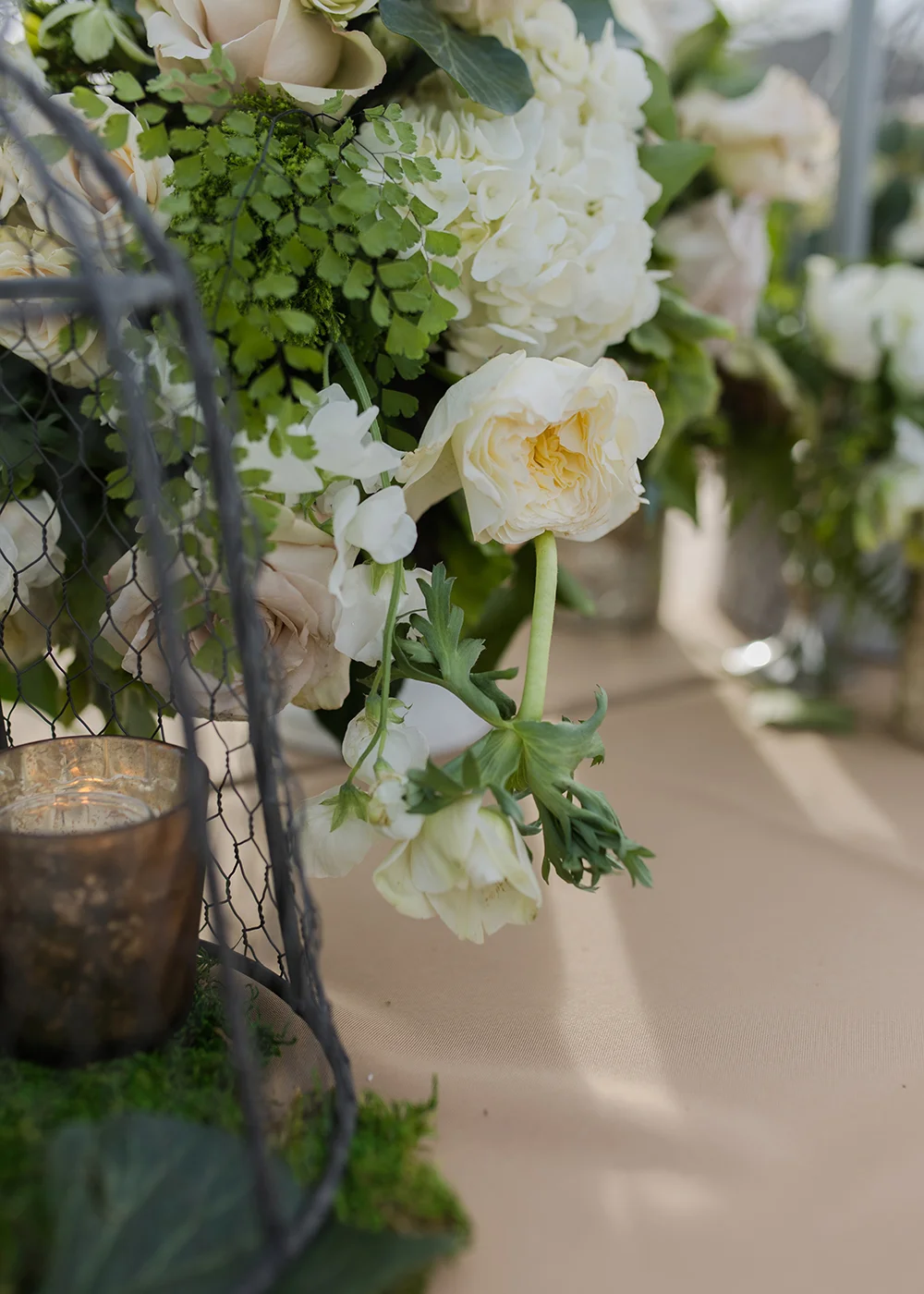 Leslie Dawn Events57.jpg
