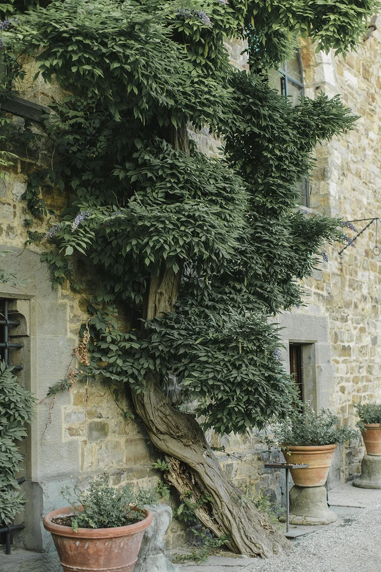 Castello Di Vincigliata Wedding66.jpg