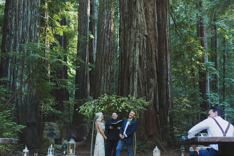 Armstrong Forest Wedding by Alixann Loosle