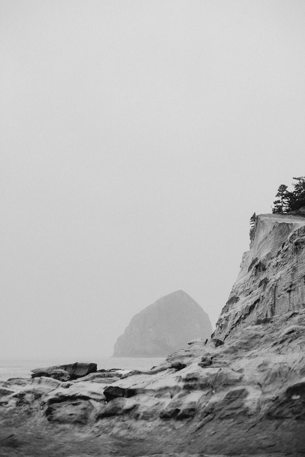 Cape Kiwanda Elopement86.jpg