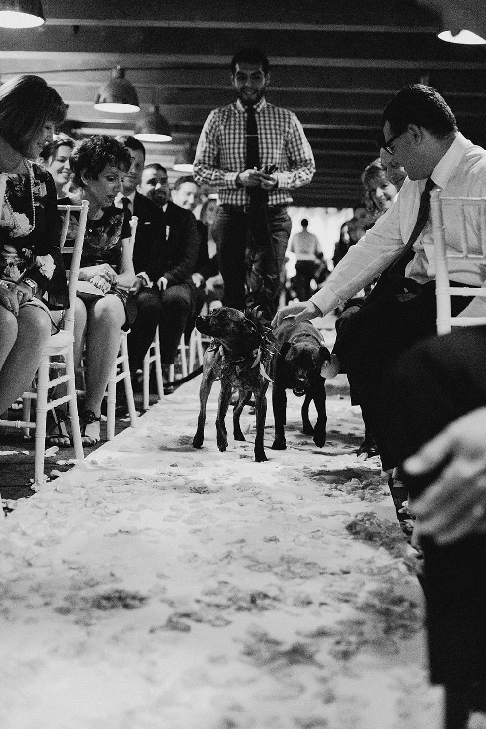 Bluehour Portland Wedding142.jpg