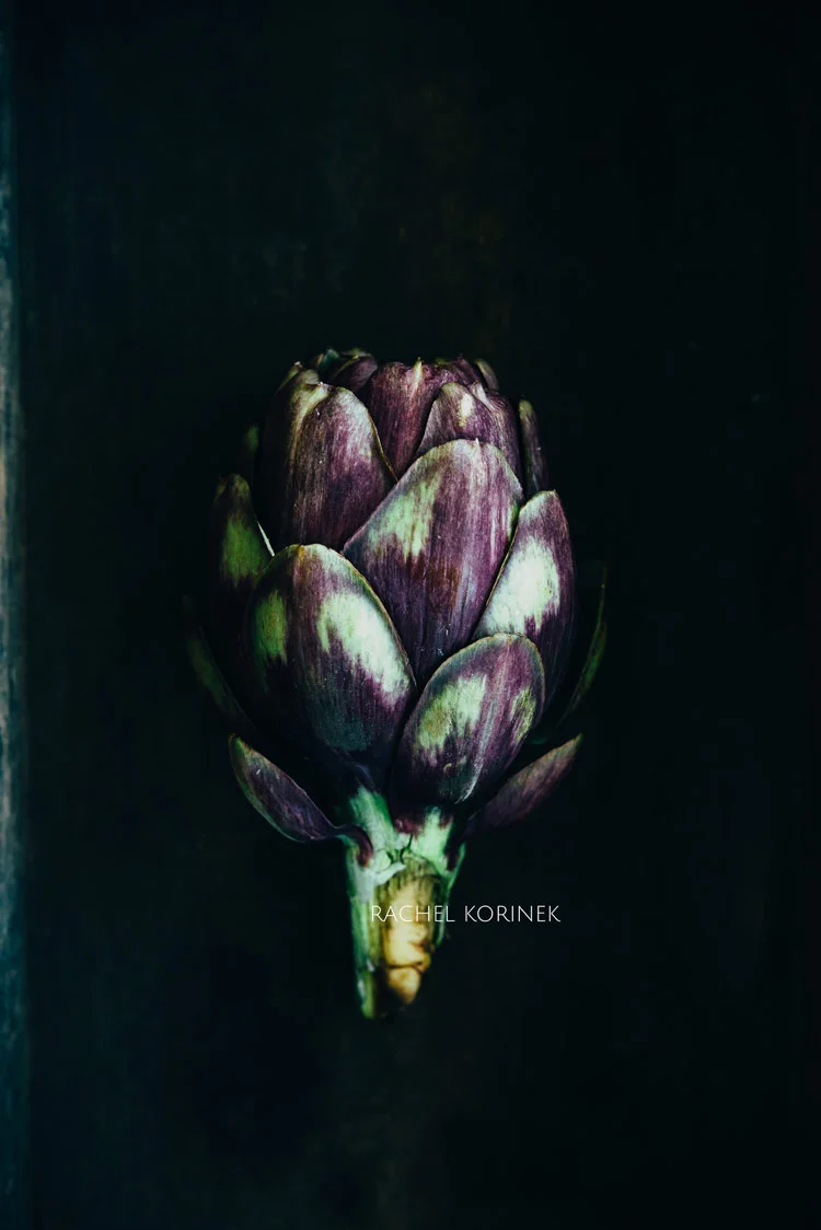 Rachel Korinek Food Photographer Dark Moody Artichoke Click to check out my latest food photography projects. #twolovesstudio #beautifulcuisine #foodbloggerpro #foodphotography #learnfoodphotography #foodblogger #learnphotography #foodstyling #lightingtips #naturallight #foodphotographer
