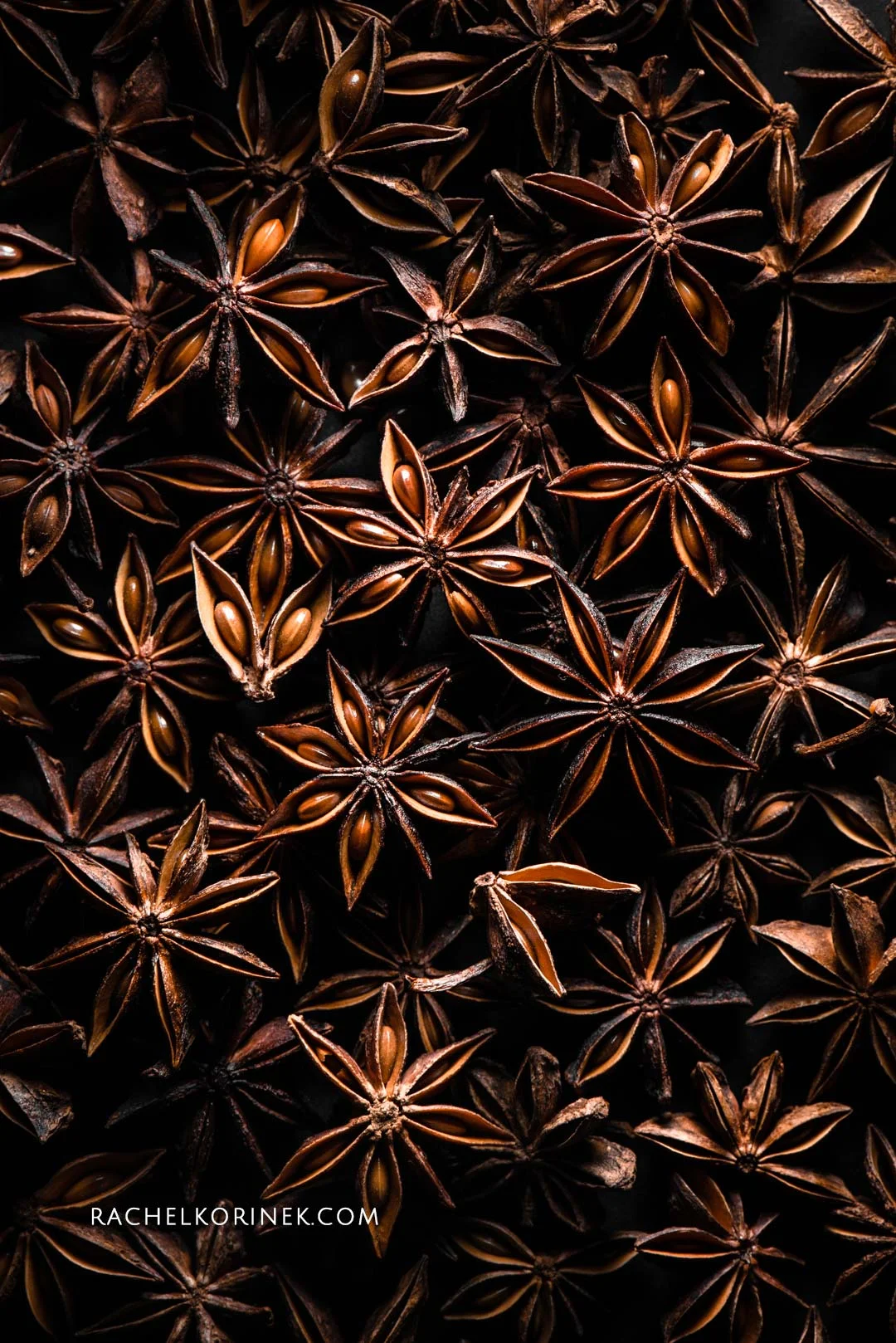 Rachel Korinek | Food Photographer Star Anise Still Life Click to check out my latest food photography projects. #twolovesstudio #beautifulcuisine #foodbloggerpro #foodphotography #learnfoodphotography #foodblogger #learnphotography #foodstyling #lightingtips #naturallight #foodphotographer