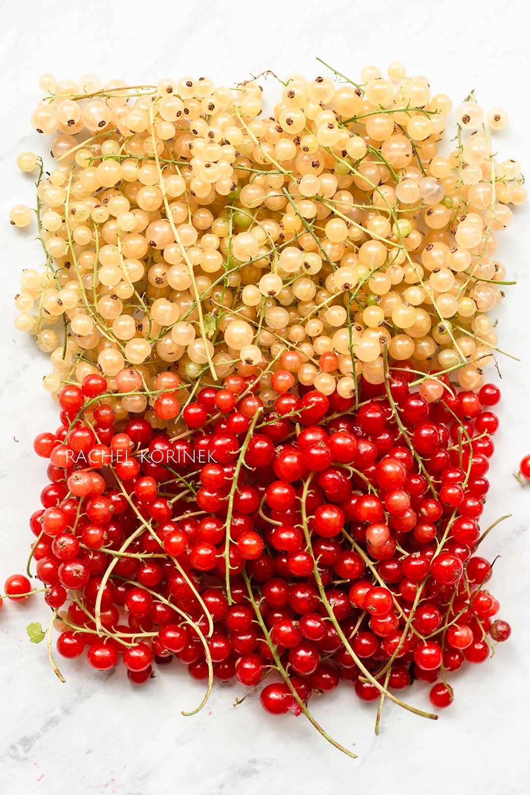 Red White Currants
