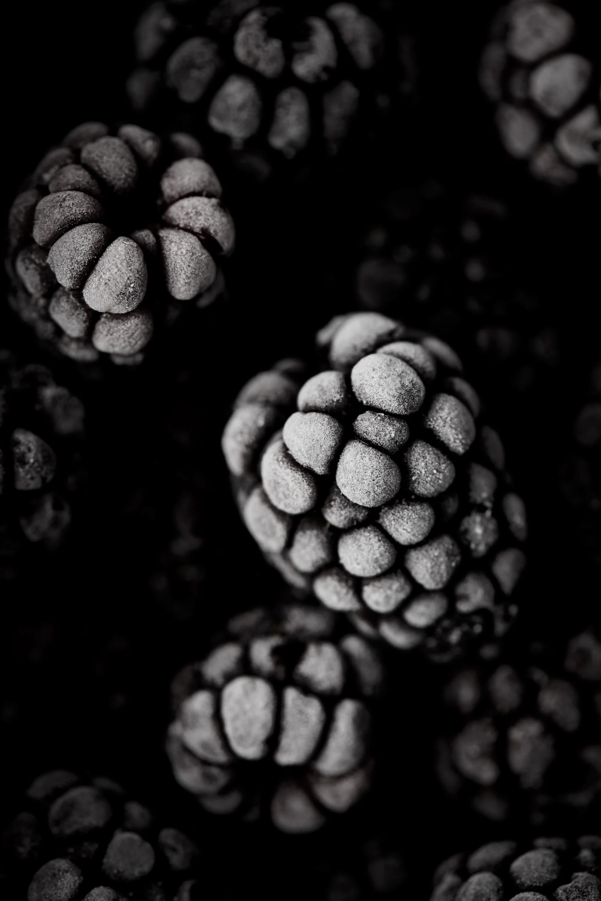 Food Black And White