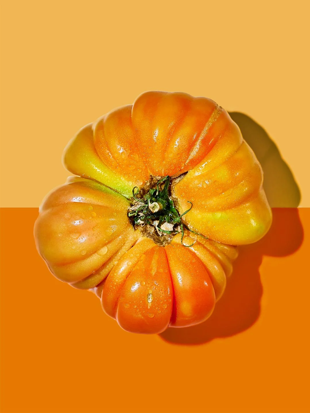 Heirloom Tomato Portraits