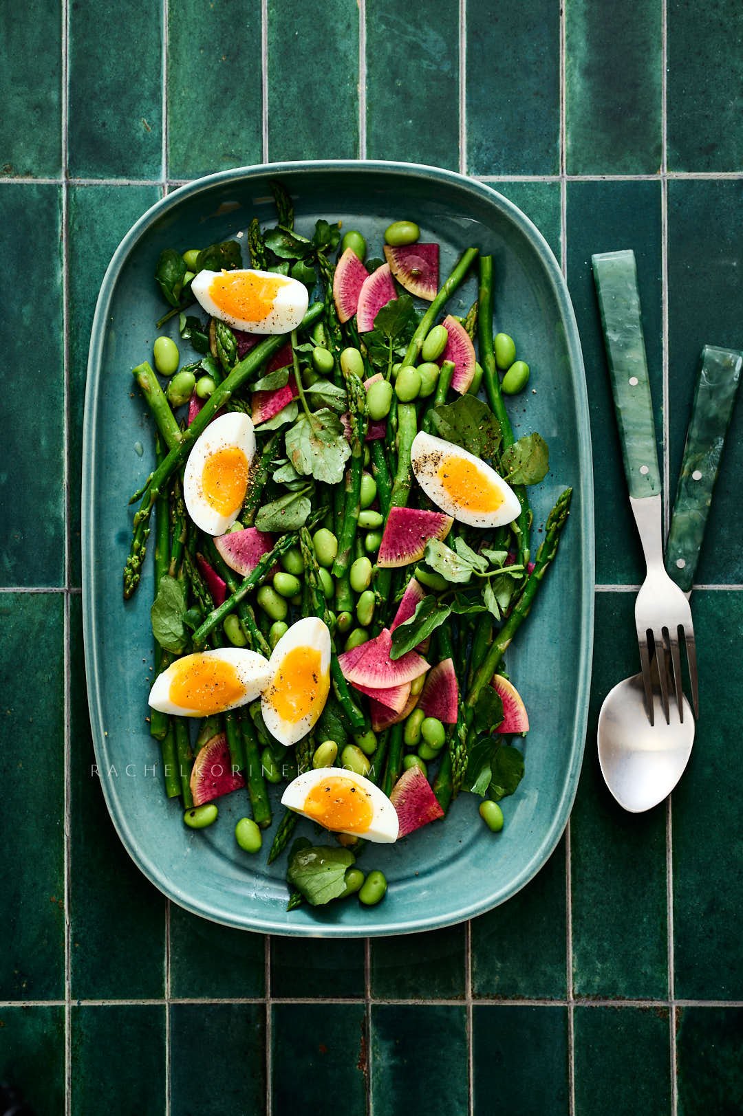  spring salad with eggs, edamame, asparagus and radishes. Shot on a green tiled backdrop by food photographer Rachel Korinek, Toronto. 