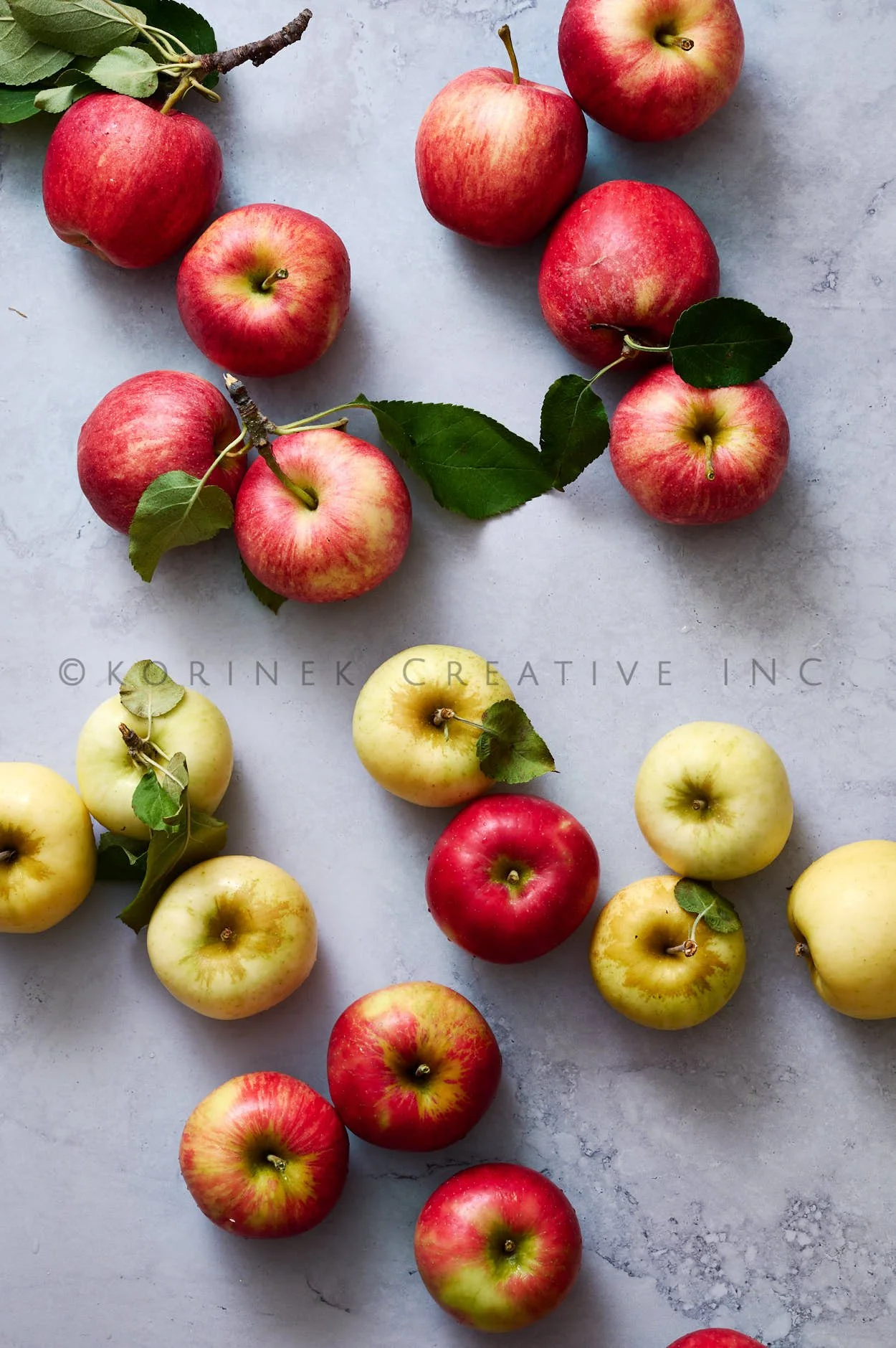 Rachel Korinek __Still Life_2025_29014.jpg