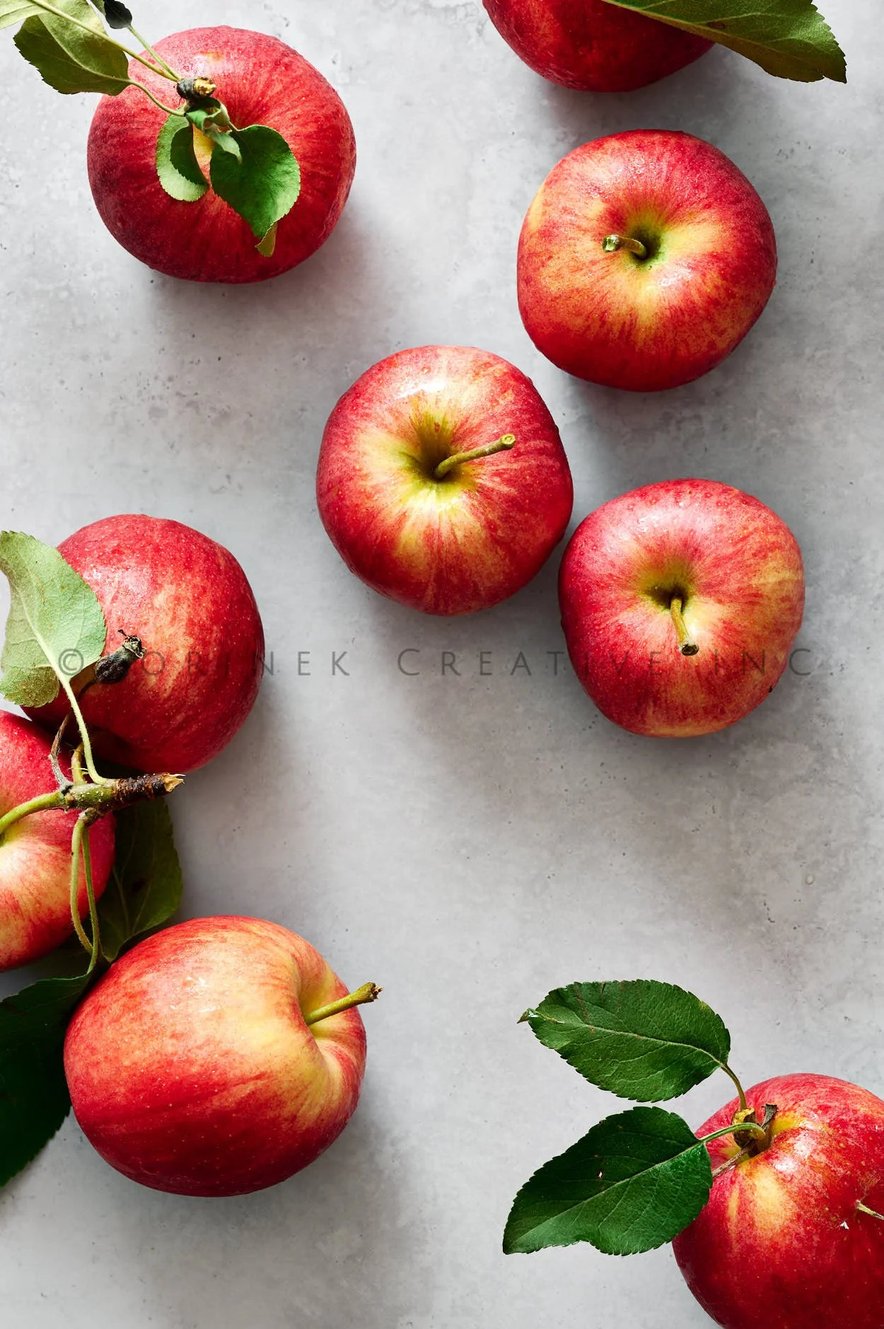 Rachel Korinek __Still Life_2025_28941.jpg