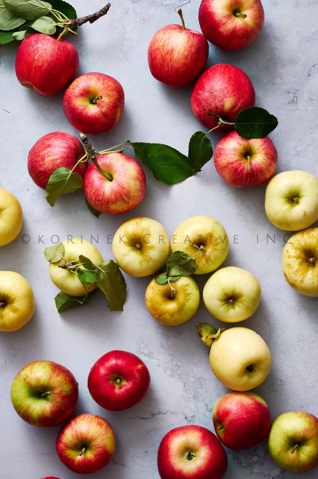 Rachel Korinek __Still Life_2025_29012.jpg