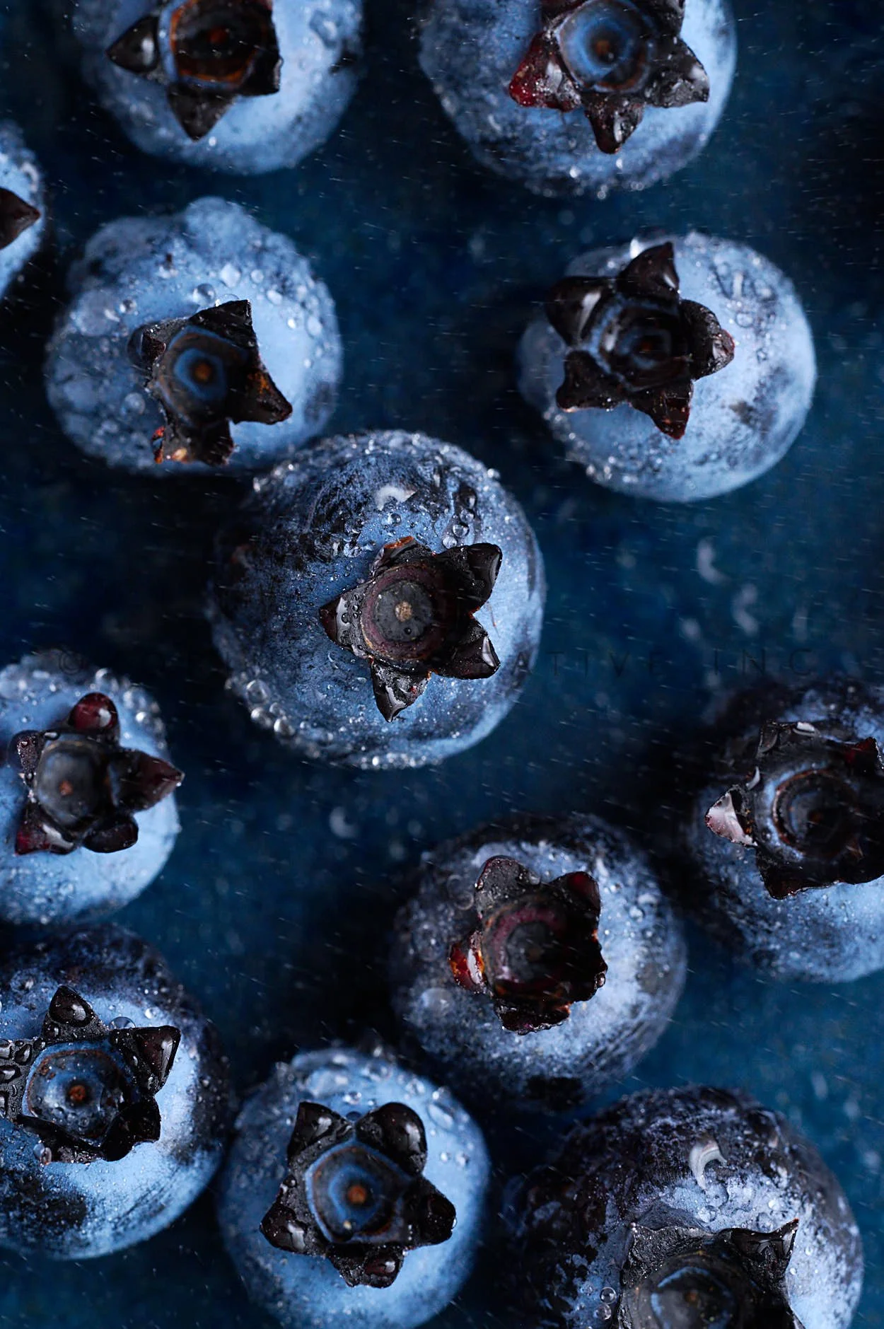 Rachel Korinek __Still Life_2025_23603.jpg