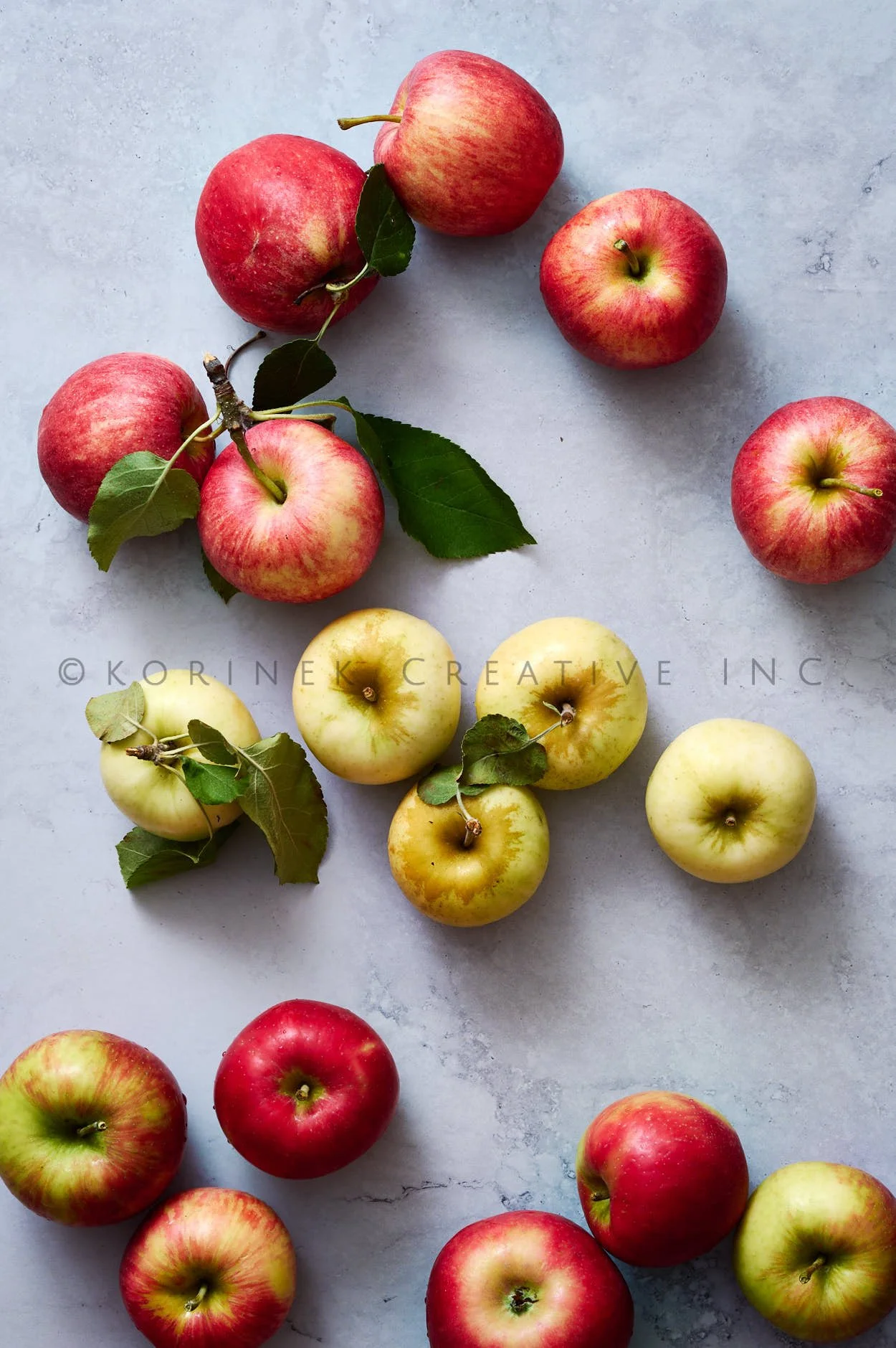 Rachel Korinek __Still Life_2025_29007.jpg