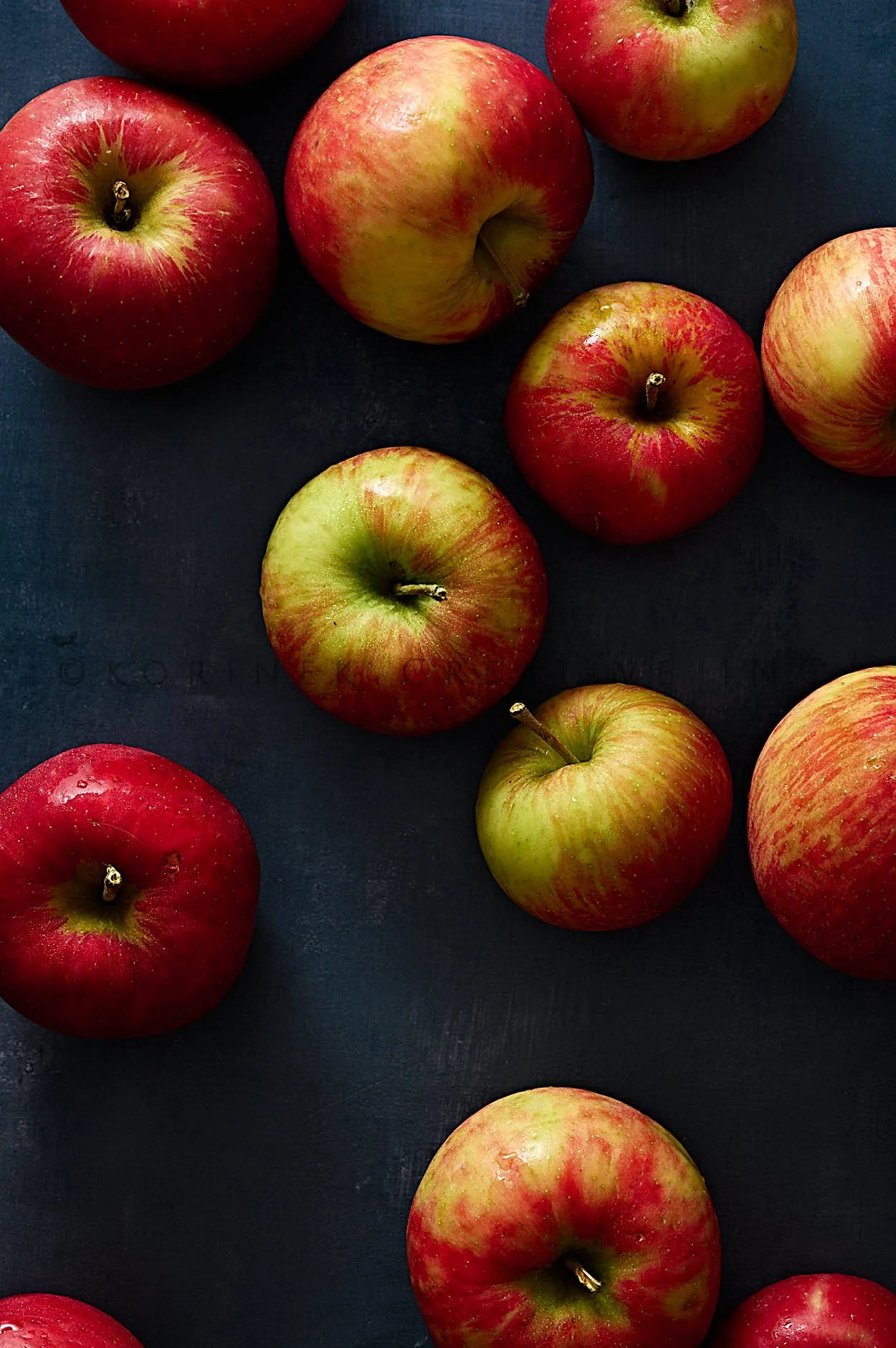 Rachel Korinek __Still Life_2025_28968.jpg