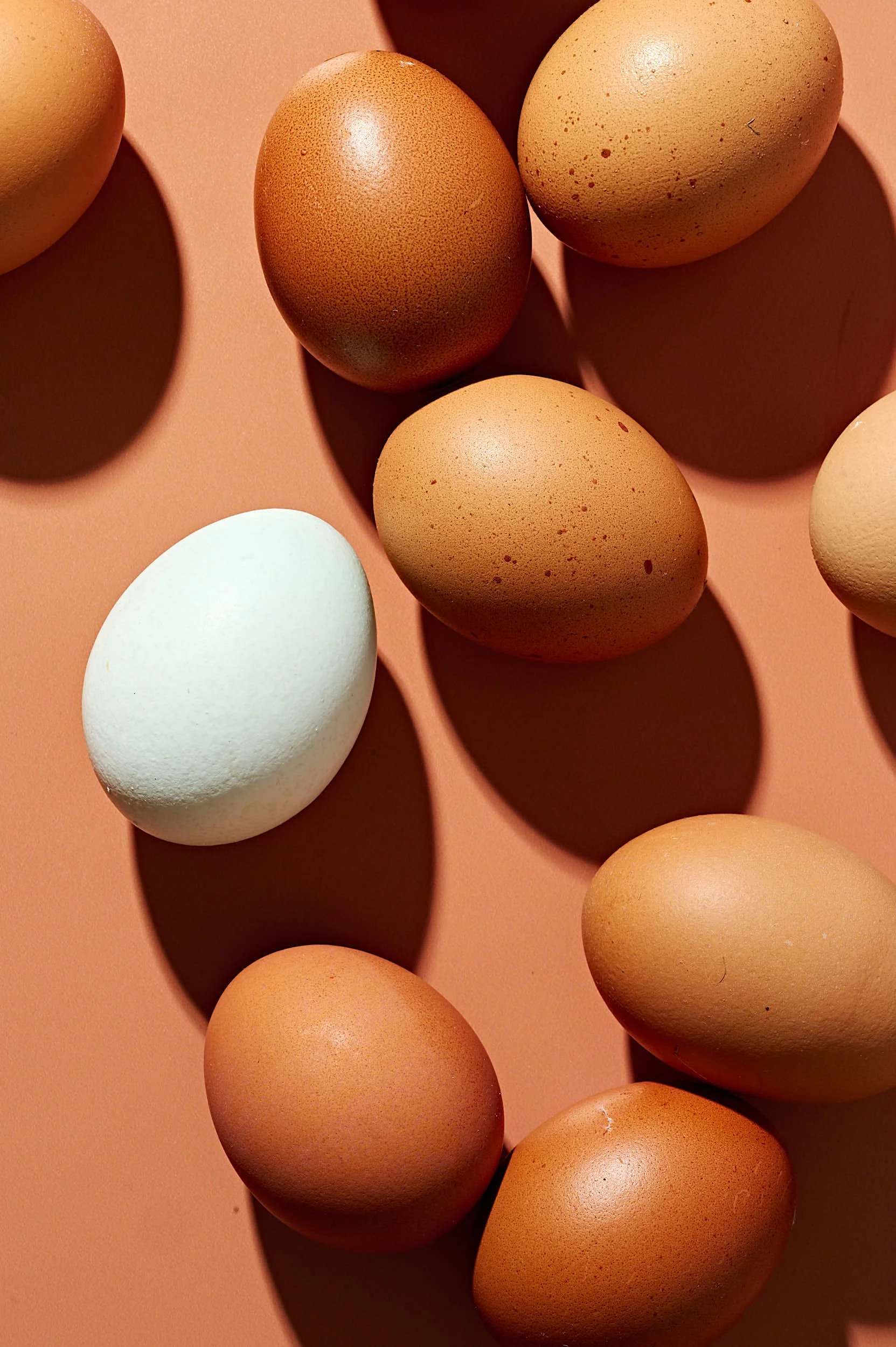 Rachel Korinek Food Photographer_Still Life_2025_40489.jpg