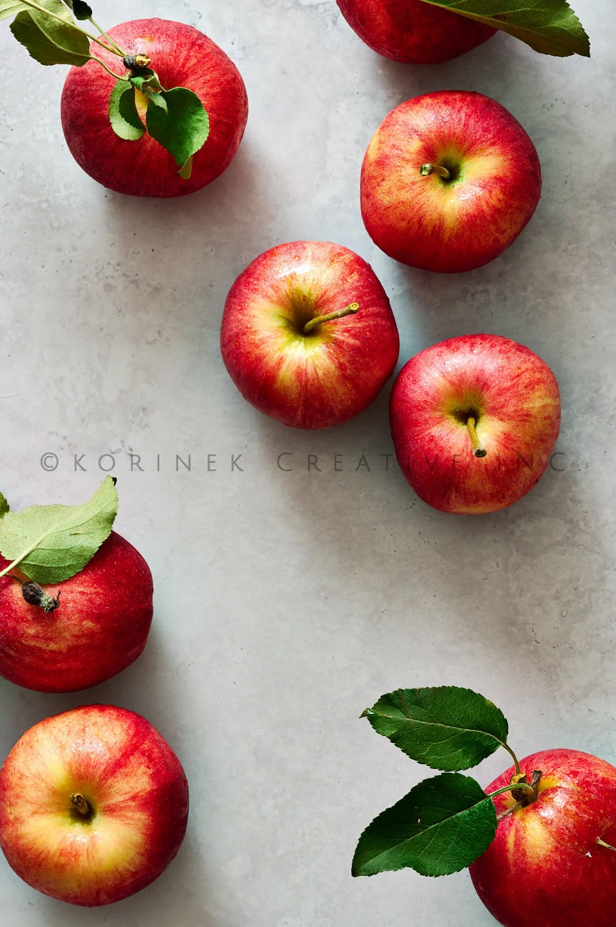 Rachel Korinek __Still Life_2025_28940.jpg