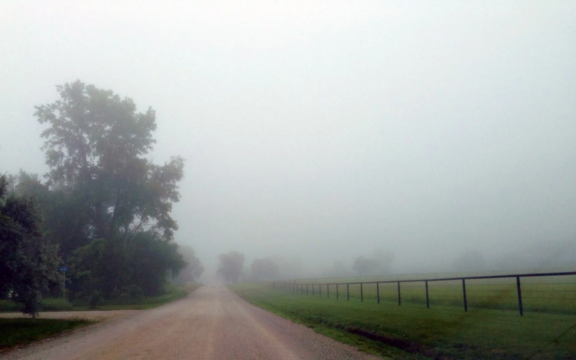focused and foggy louisburg.jpg