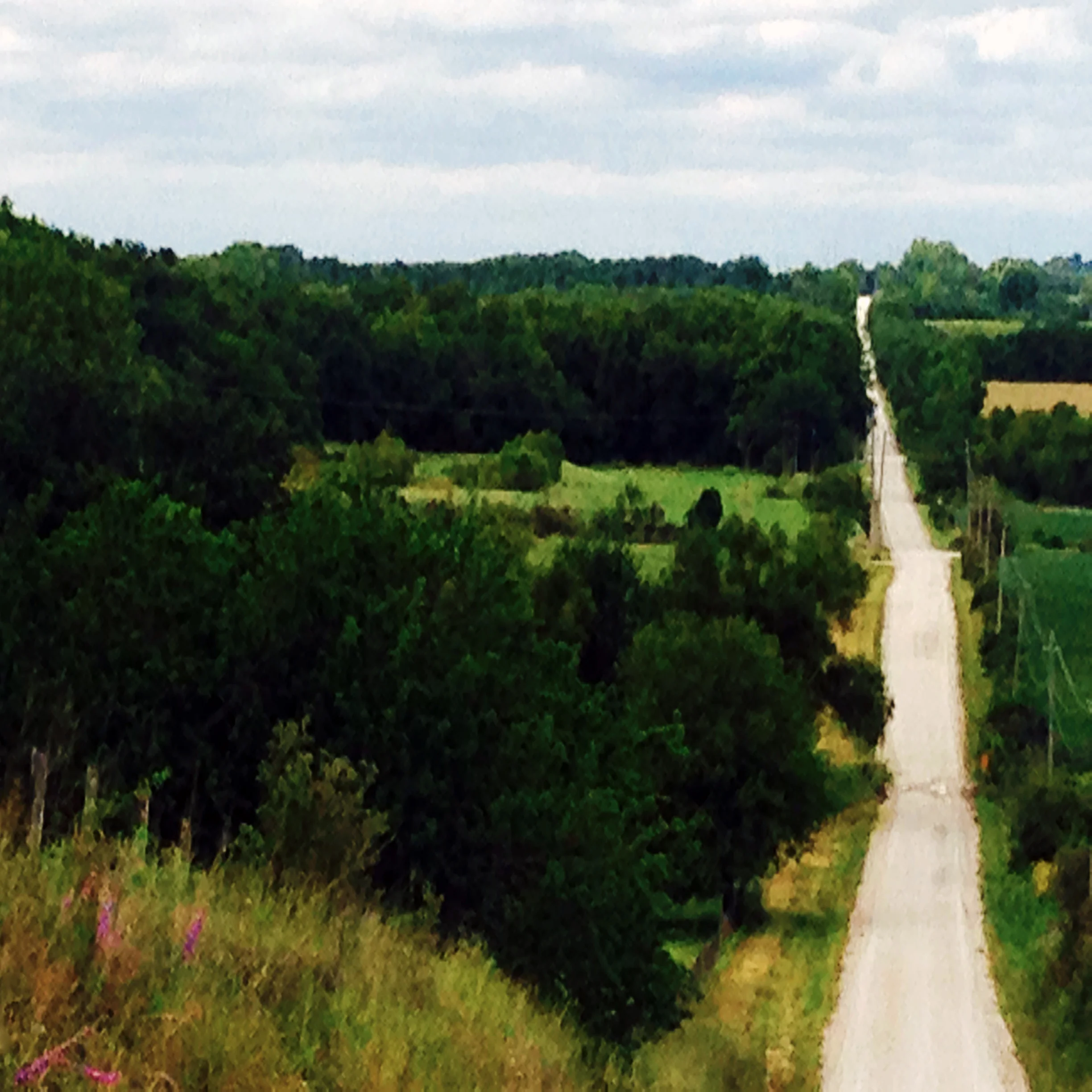 louisburg road.jpg