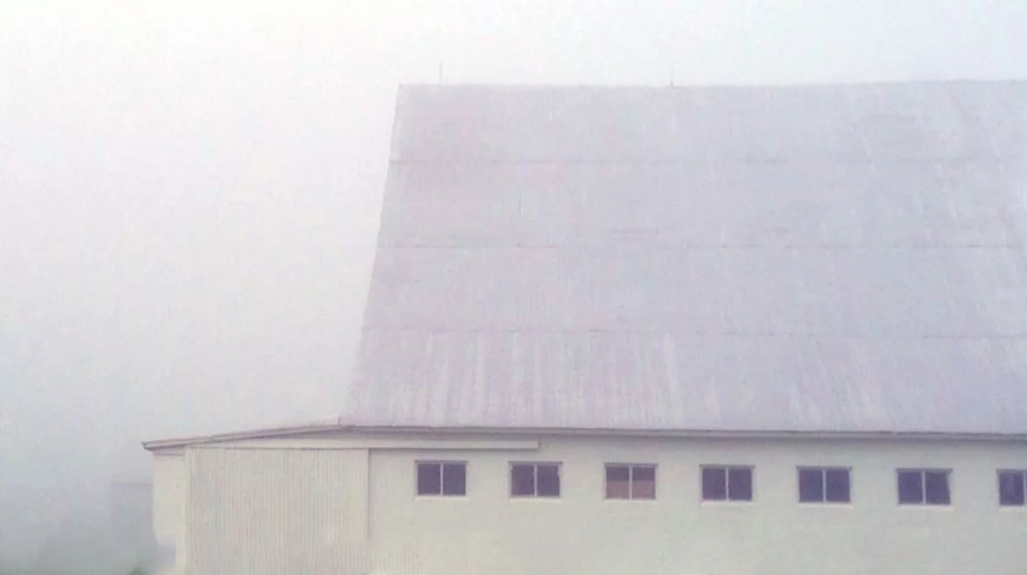 focused and foggy white on white.jpg