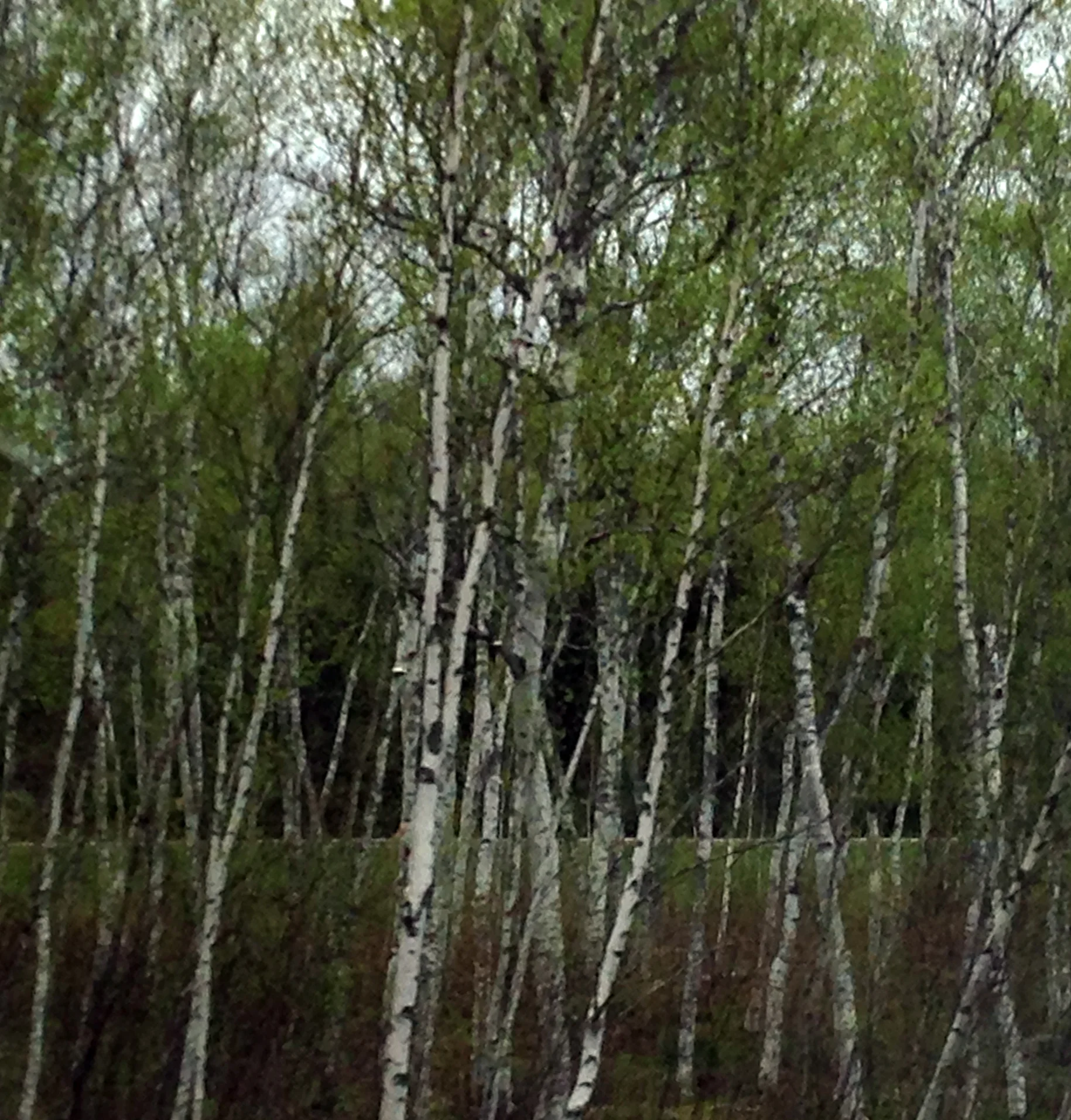 Leaning on each other