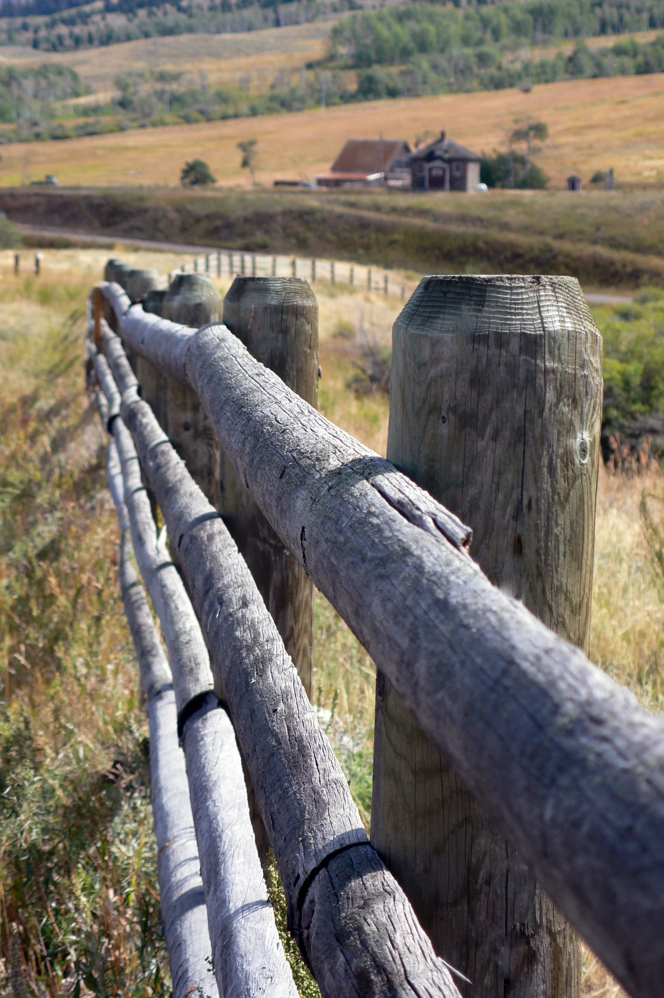 Underneath Montana skies