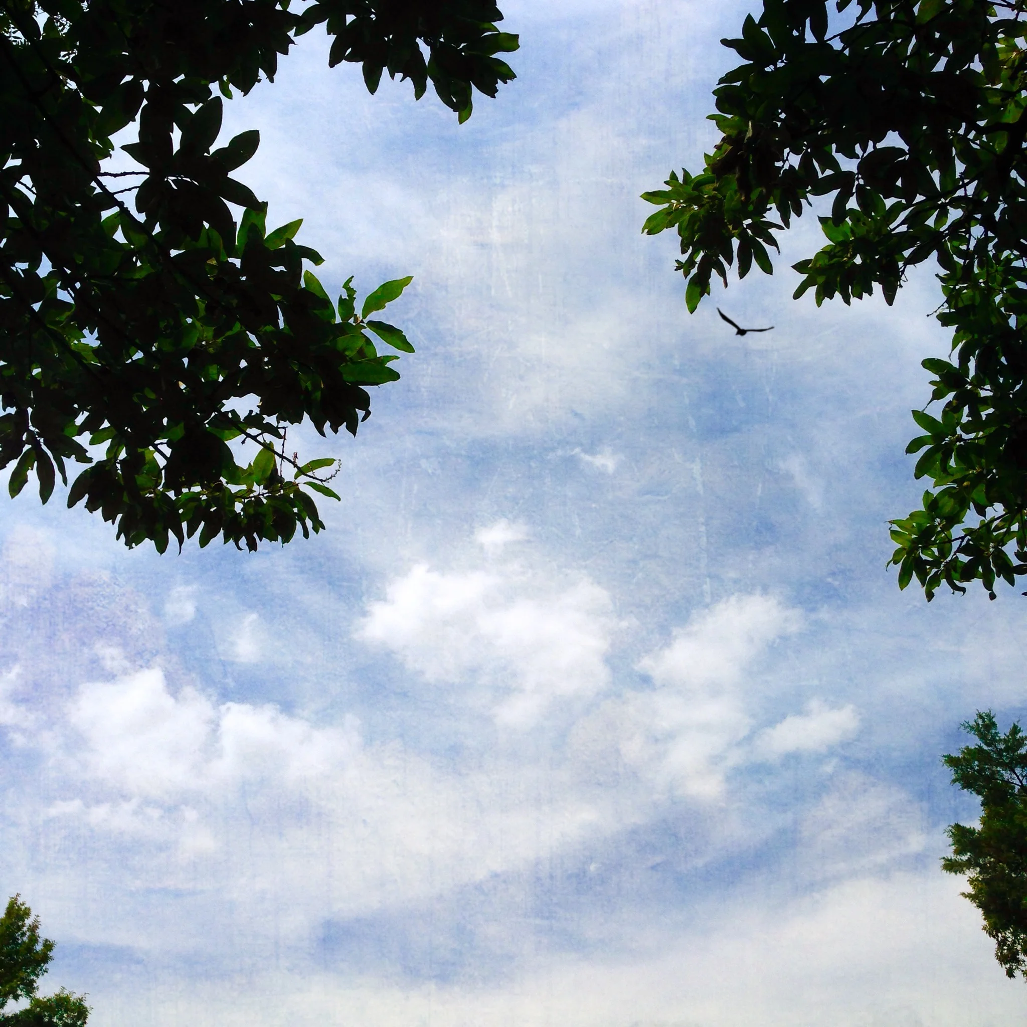 Some things don't change