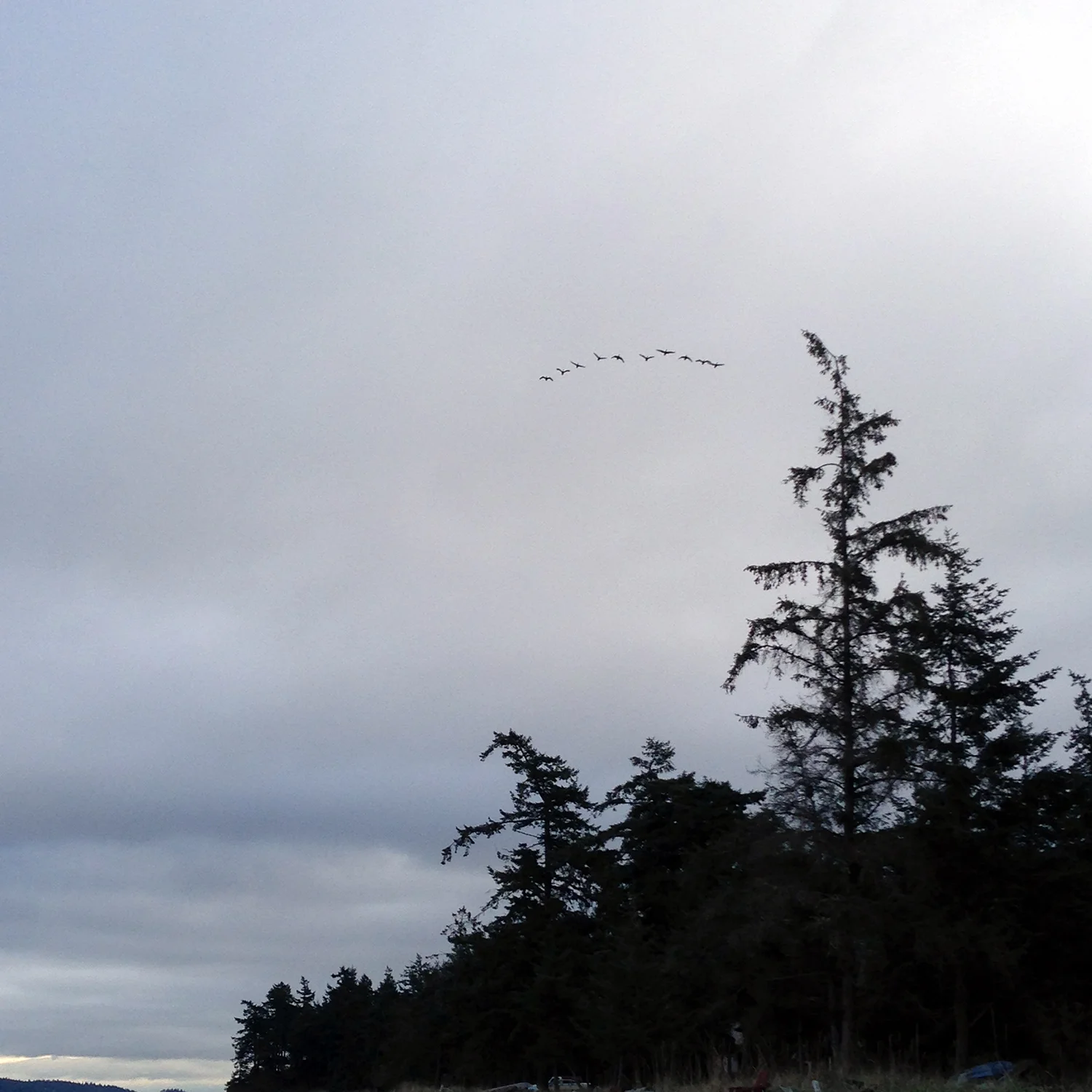 seeking formation.jpg