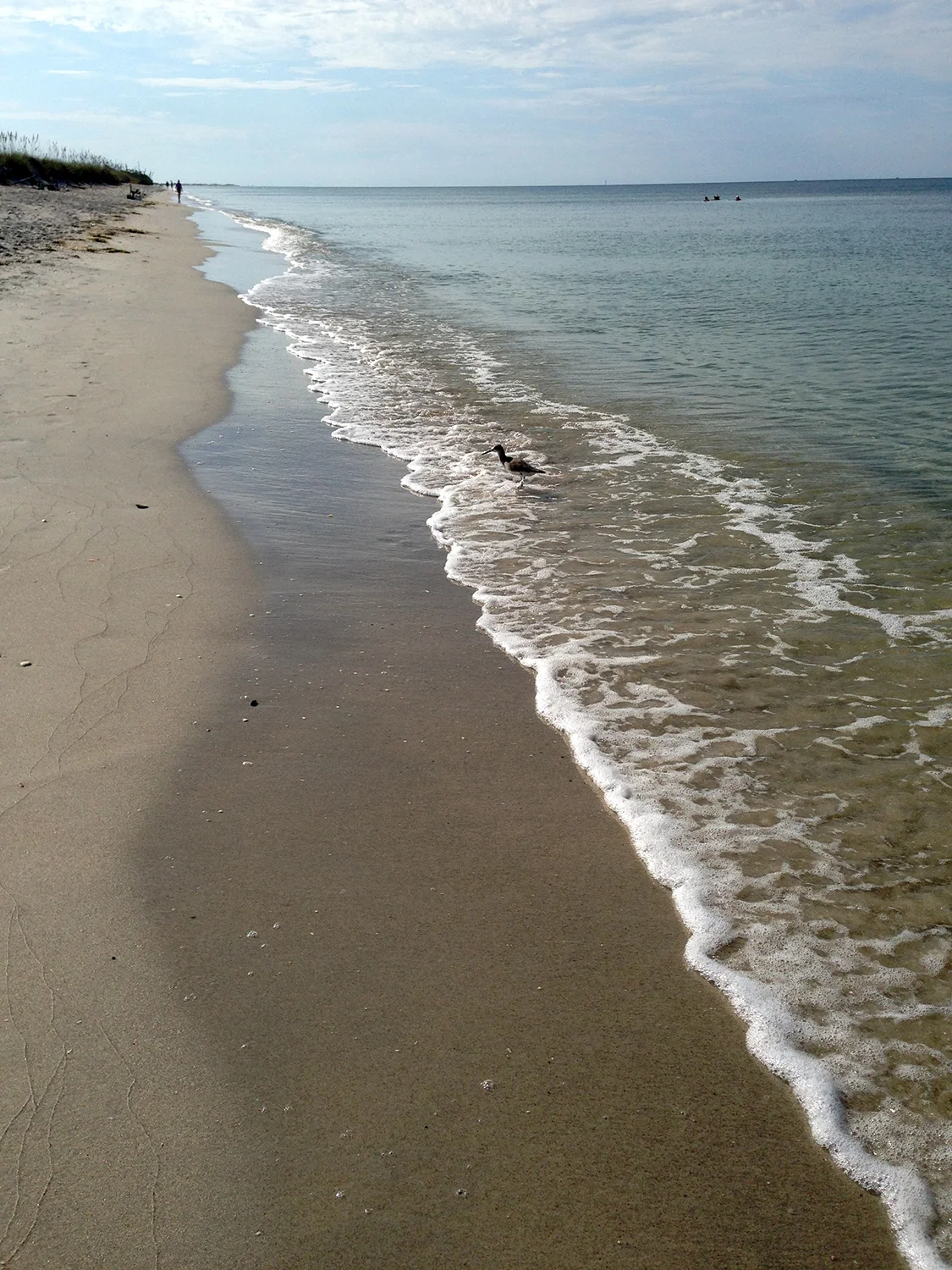beachfront punta gorda and gull.jpg