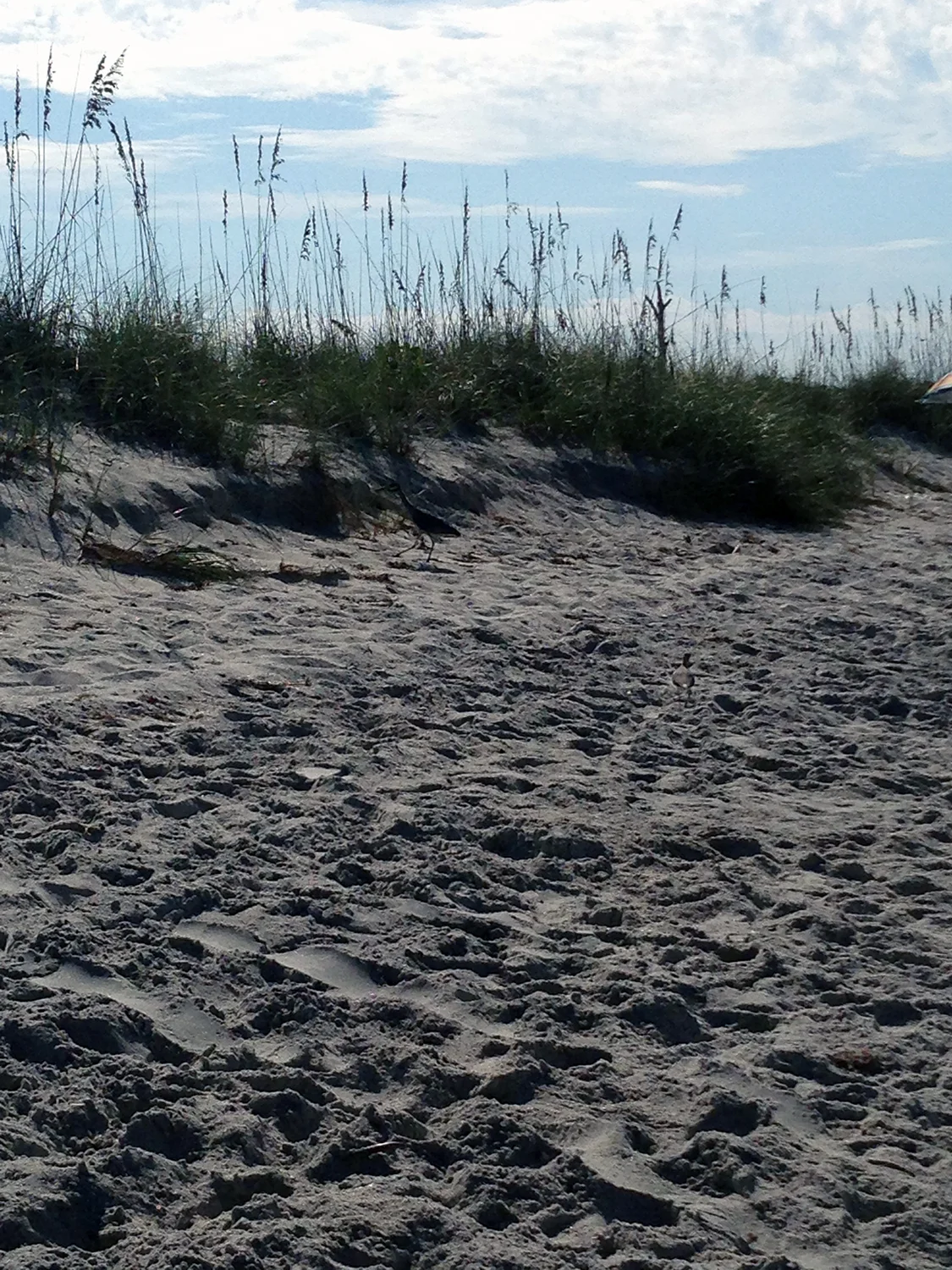 punta gorda beach.jpg