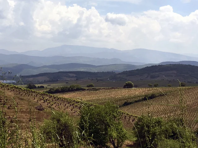 Villafranca del Bierzo Suzie.jpg