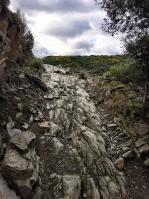 The day's terrain