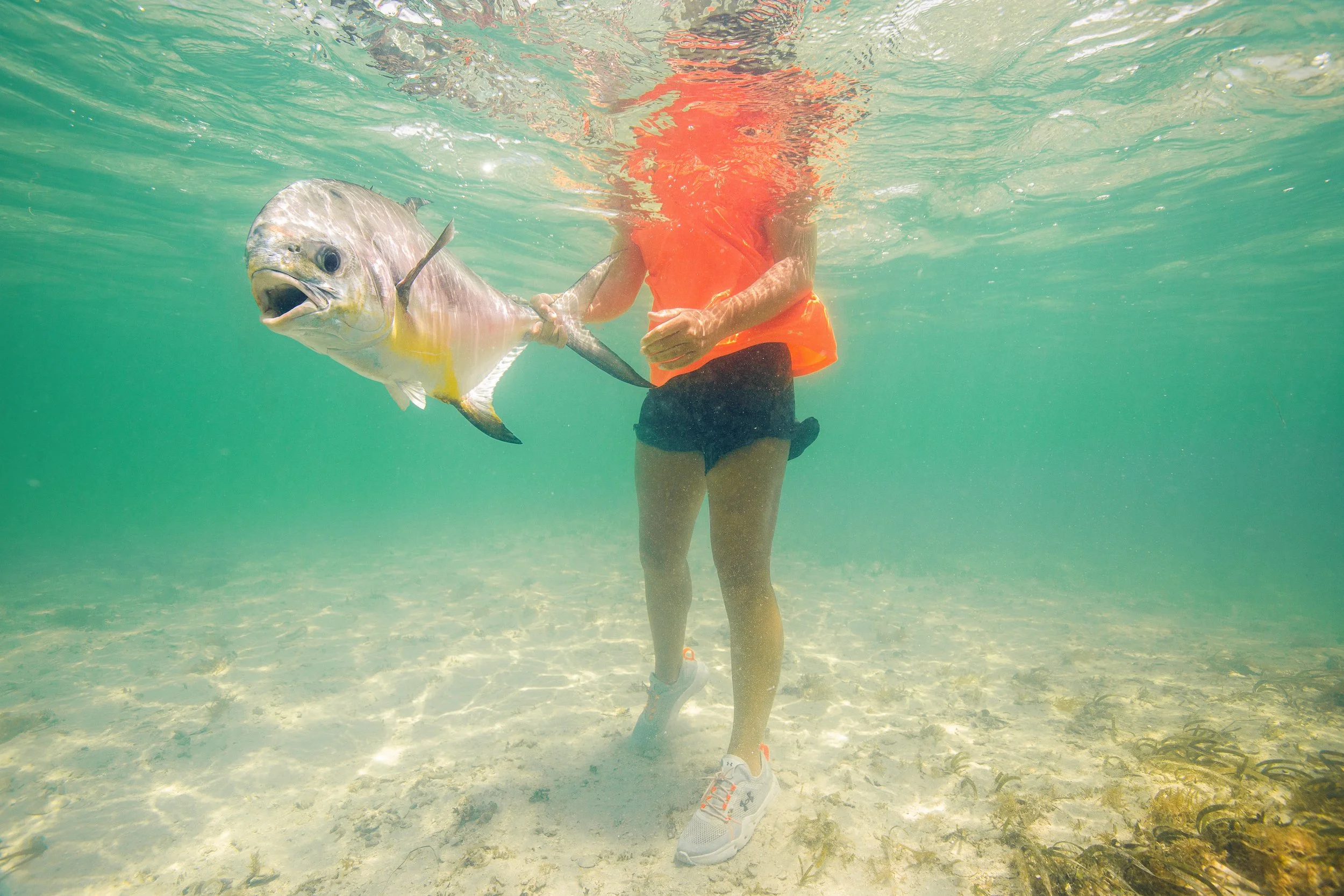 ©MattShawCreative_UAFISH_2022-13.jpg