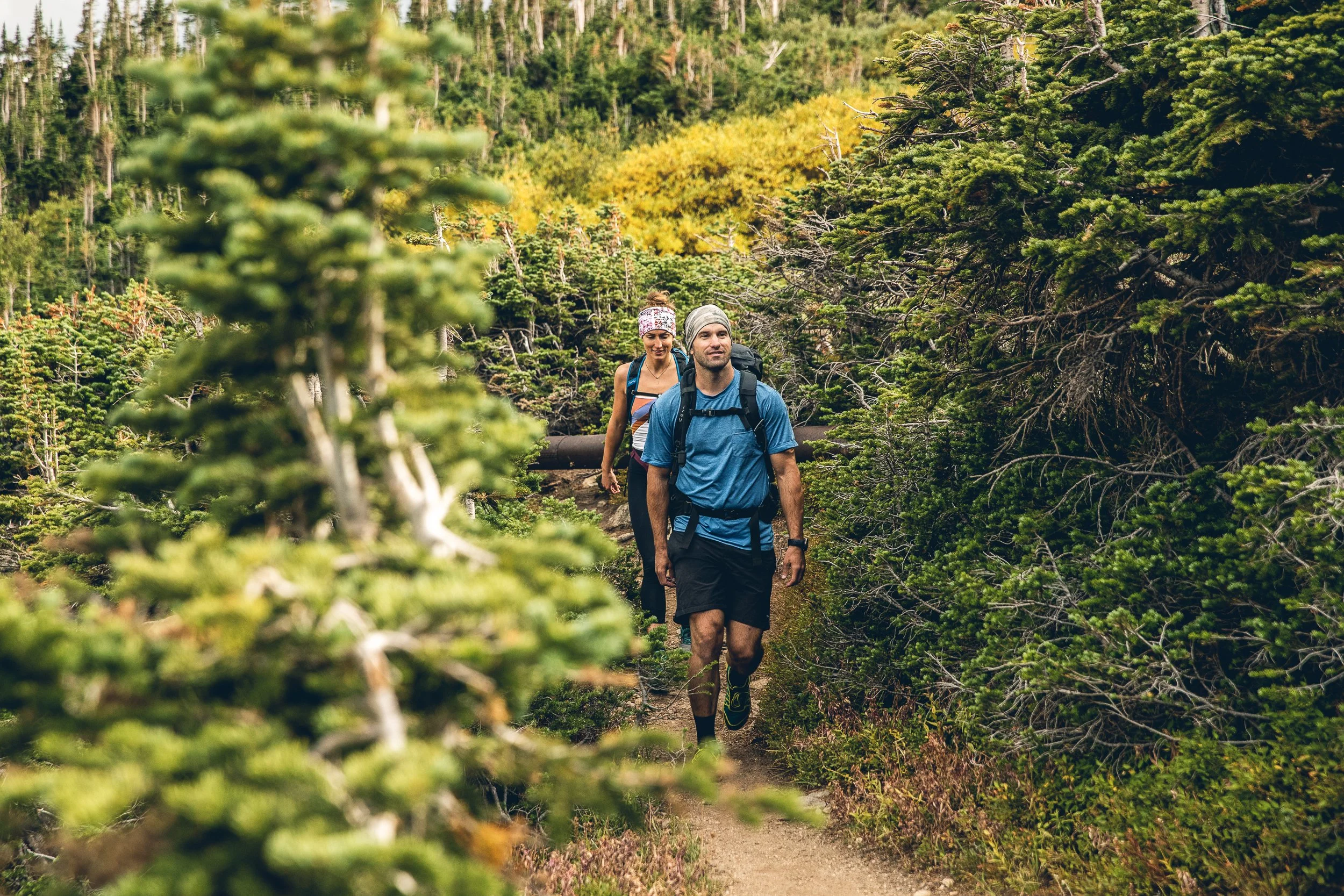 ©MattShawCreative_BUFFALPINE-4.jpg