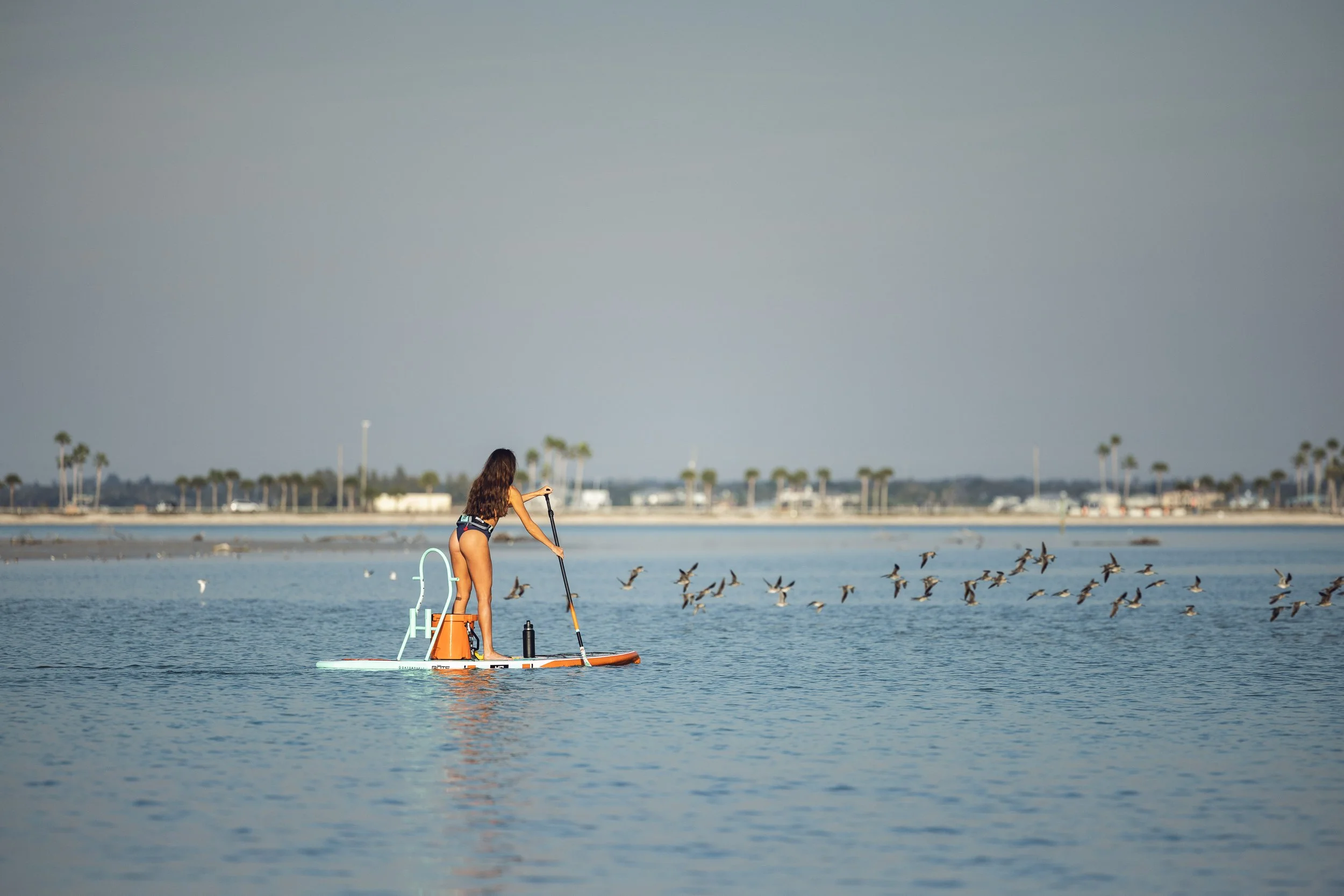 ©MattShawCreative_Bote-45.jpg