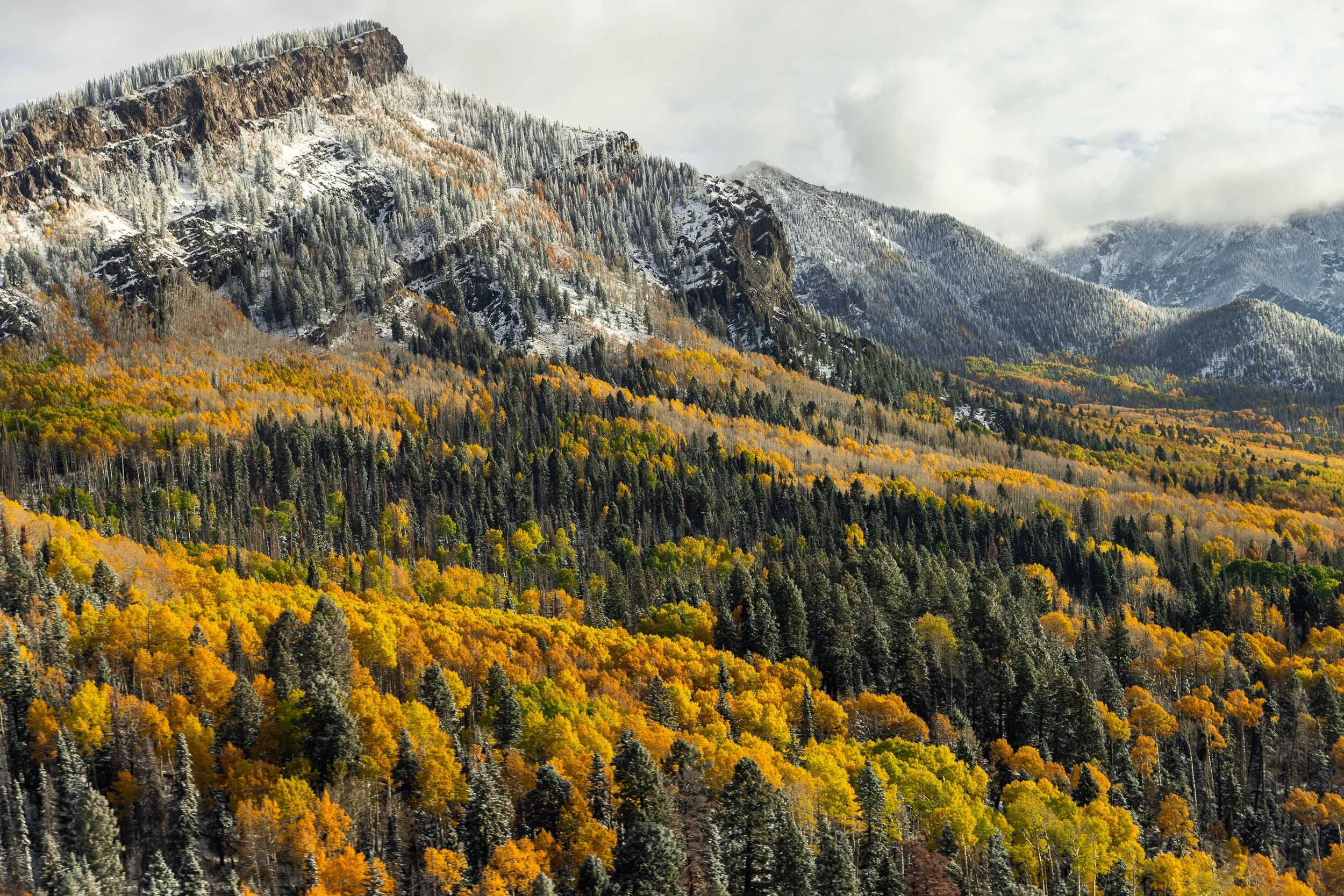 ©MattShawCreative_KiloSierra-22.jpg