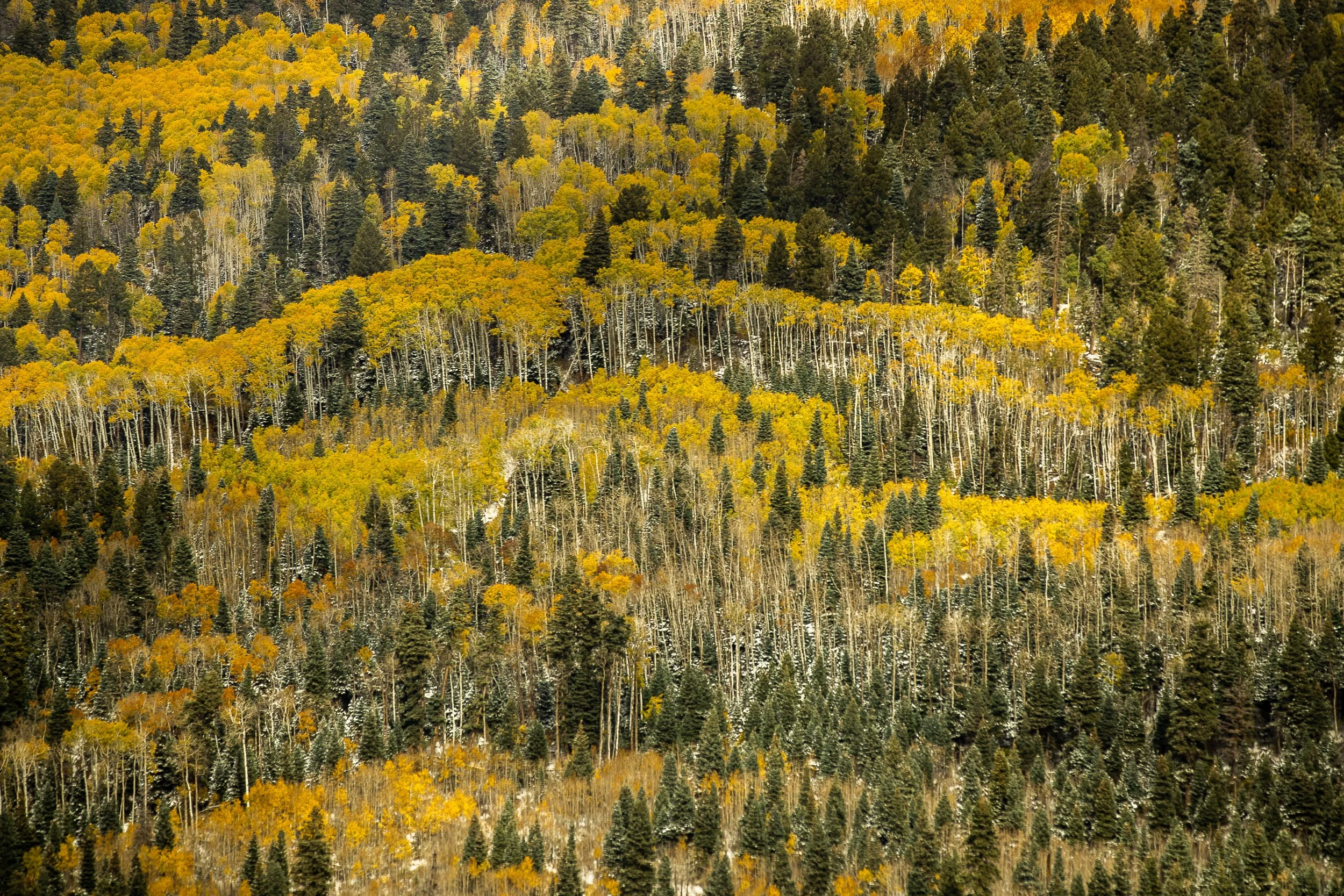 ©MattShawCreative_KiloSierra-16.jpg
