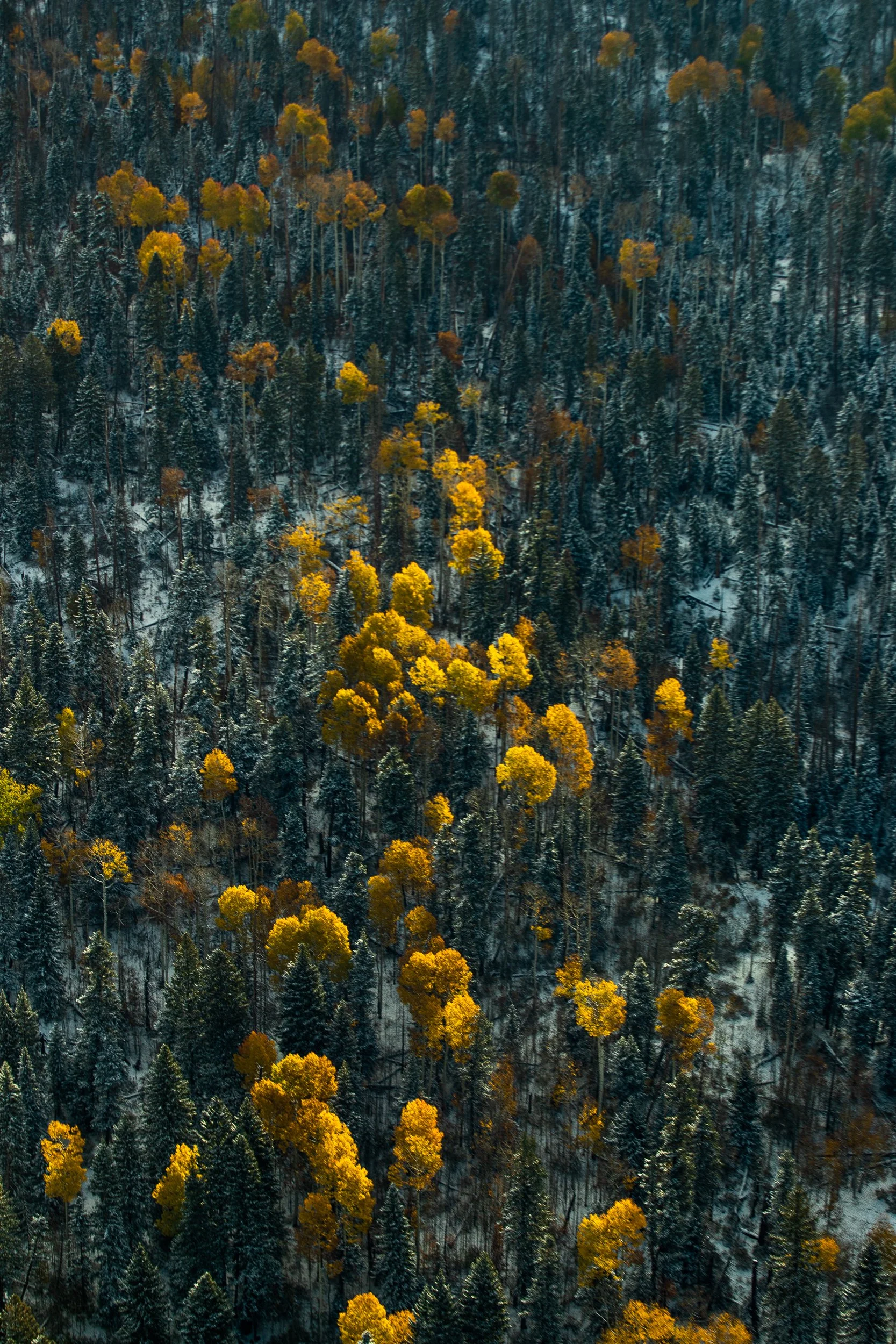 ©MattShawCreative_KiloSierra-14.jpg