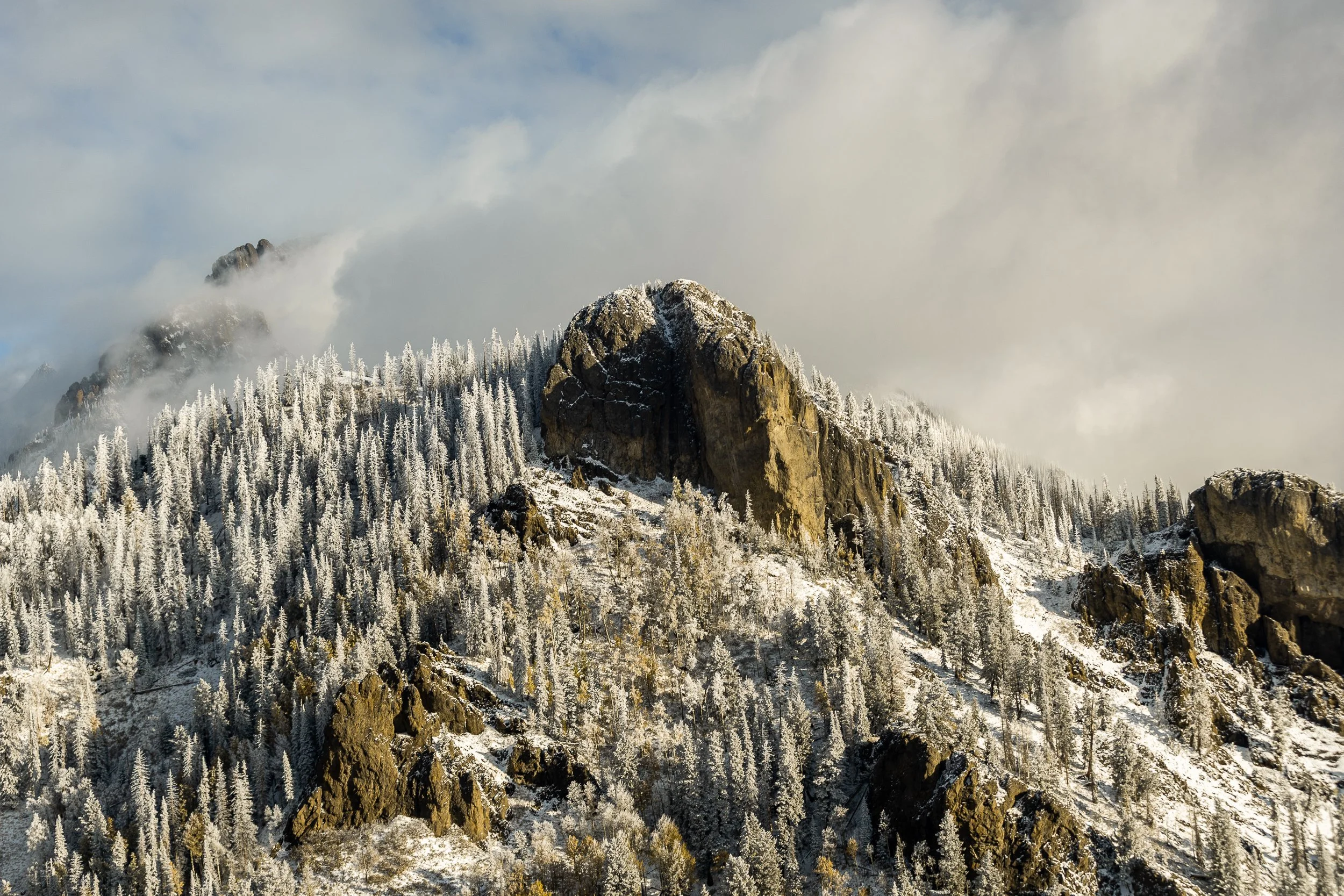 ©MattShawCreative_KiloSierra-12.jpg