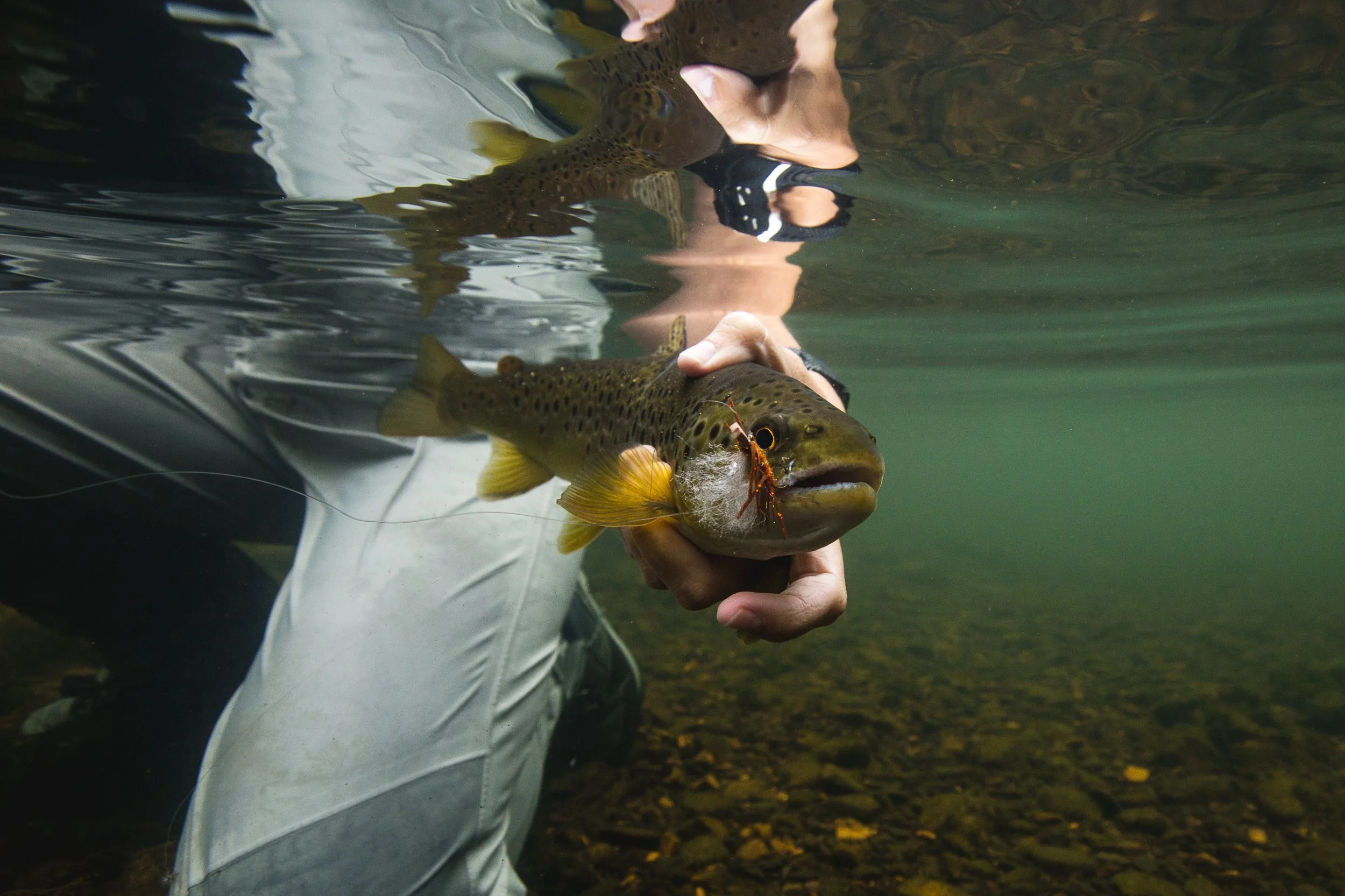 ©MattShawCreative_orvisfishing -23.jpg