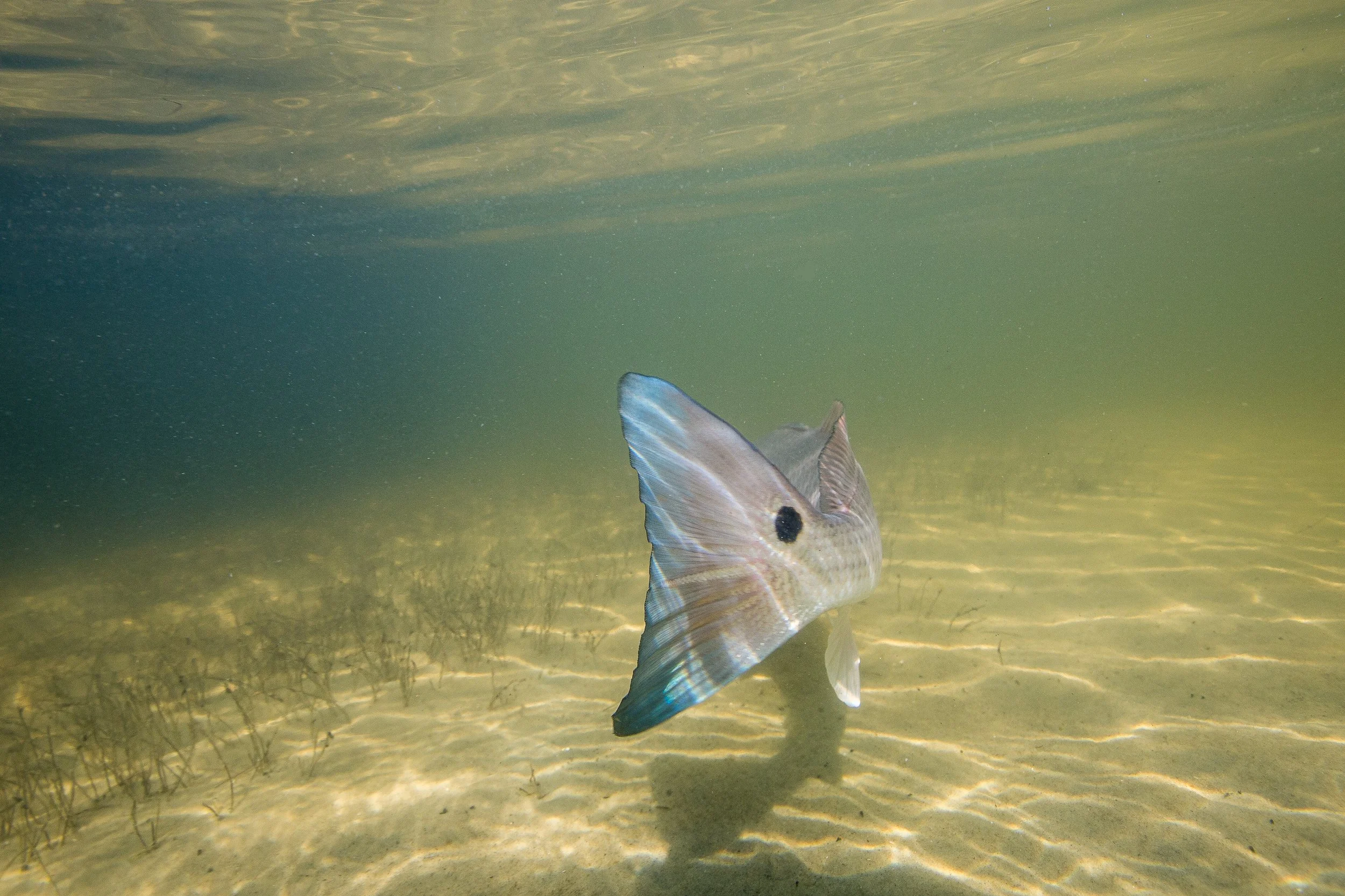 ©MattShawCreative_orvisfishing -17.jpg