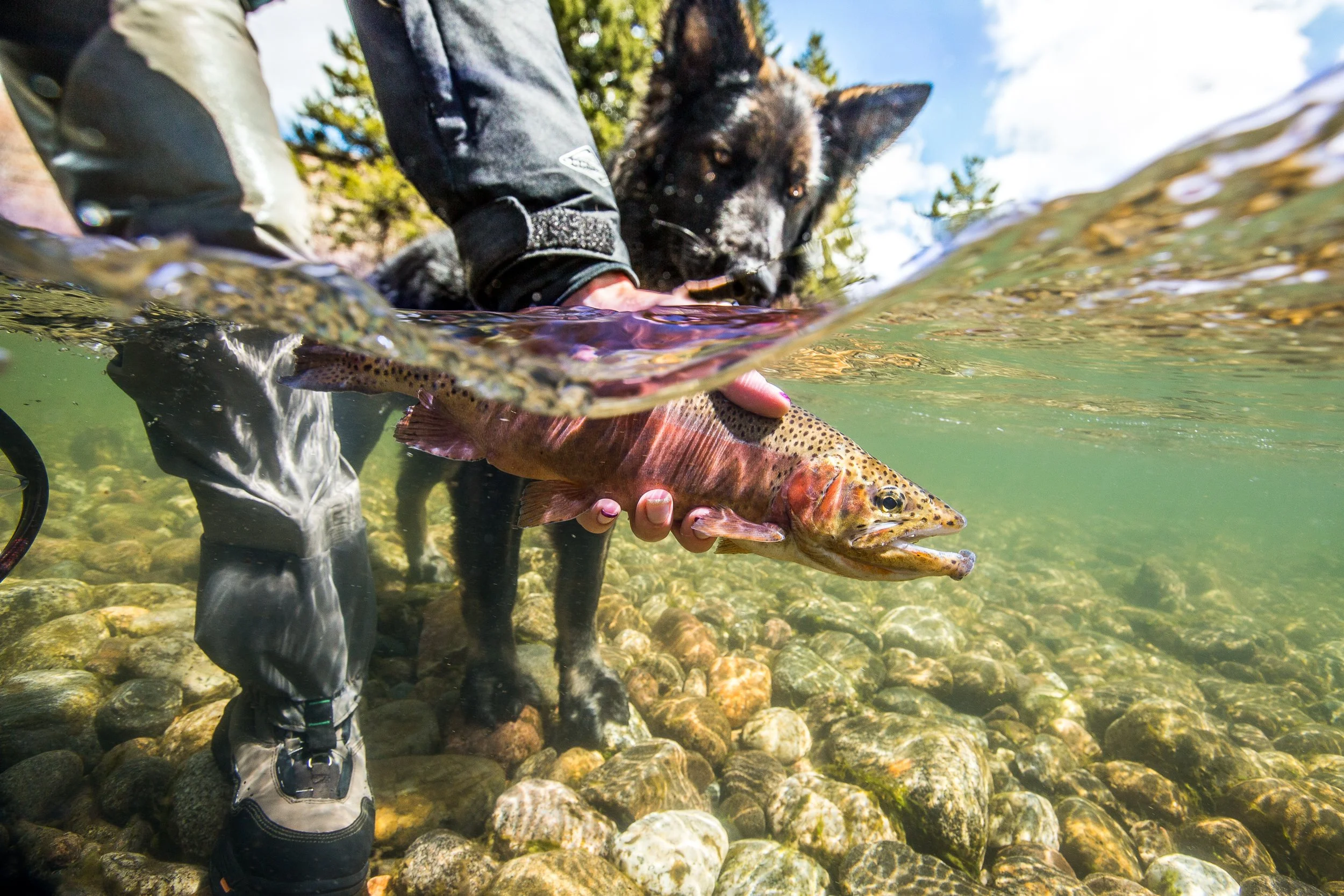 ©MattShawCreative_orvisfishing -4.jpg