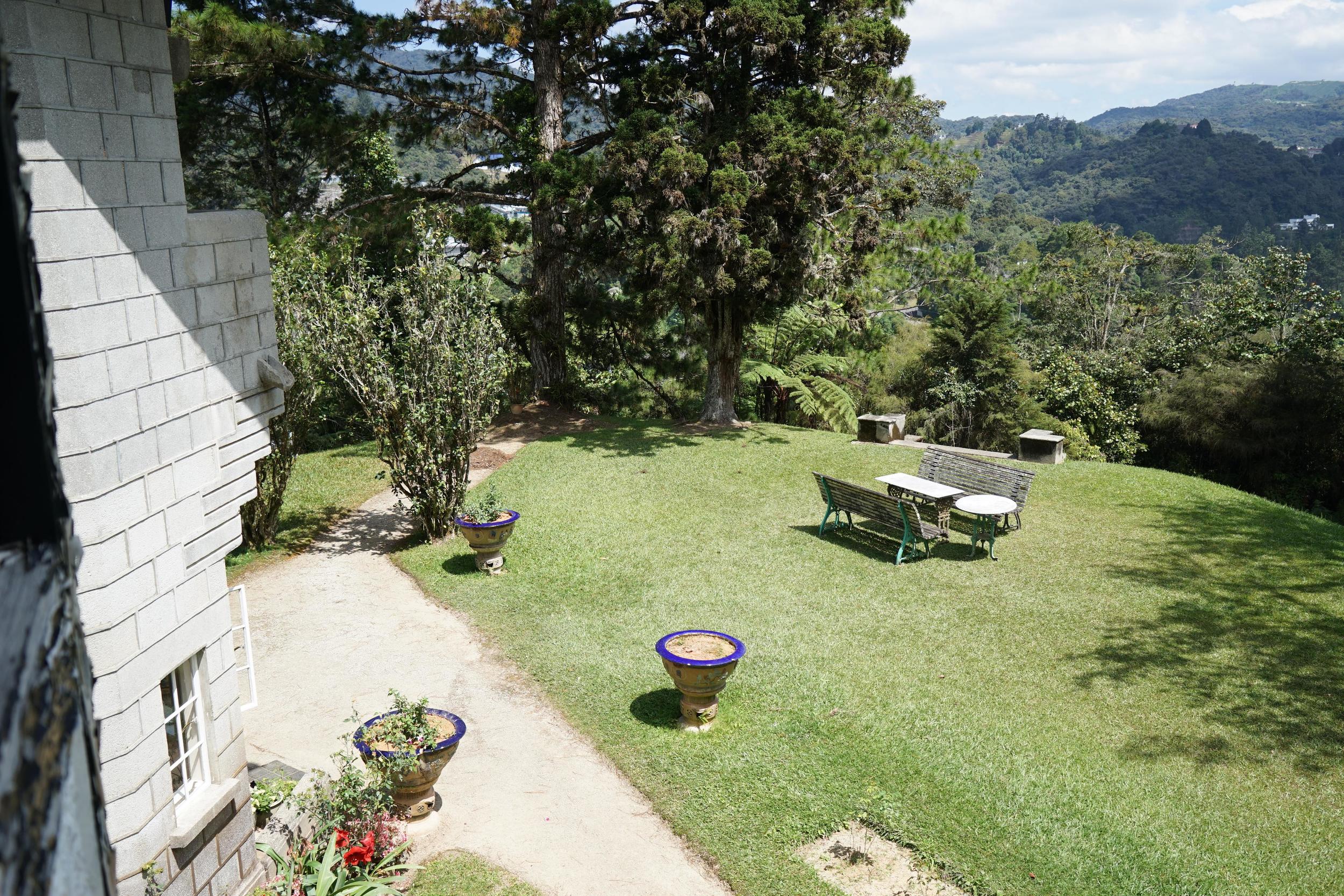 The backyard
