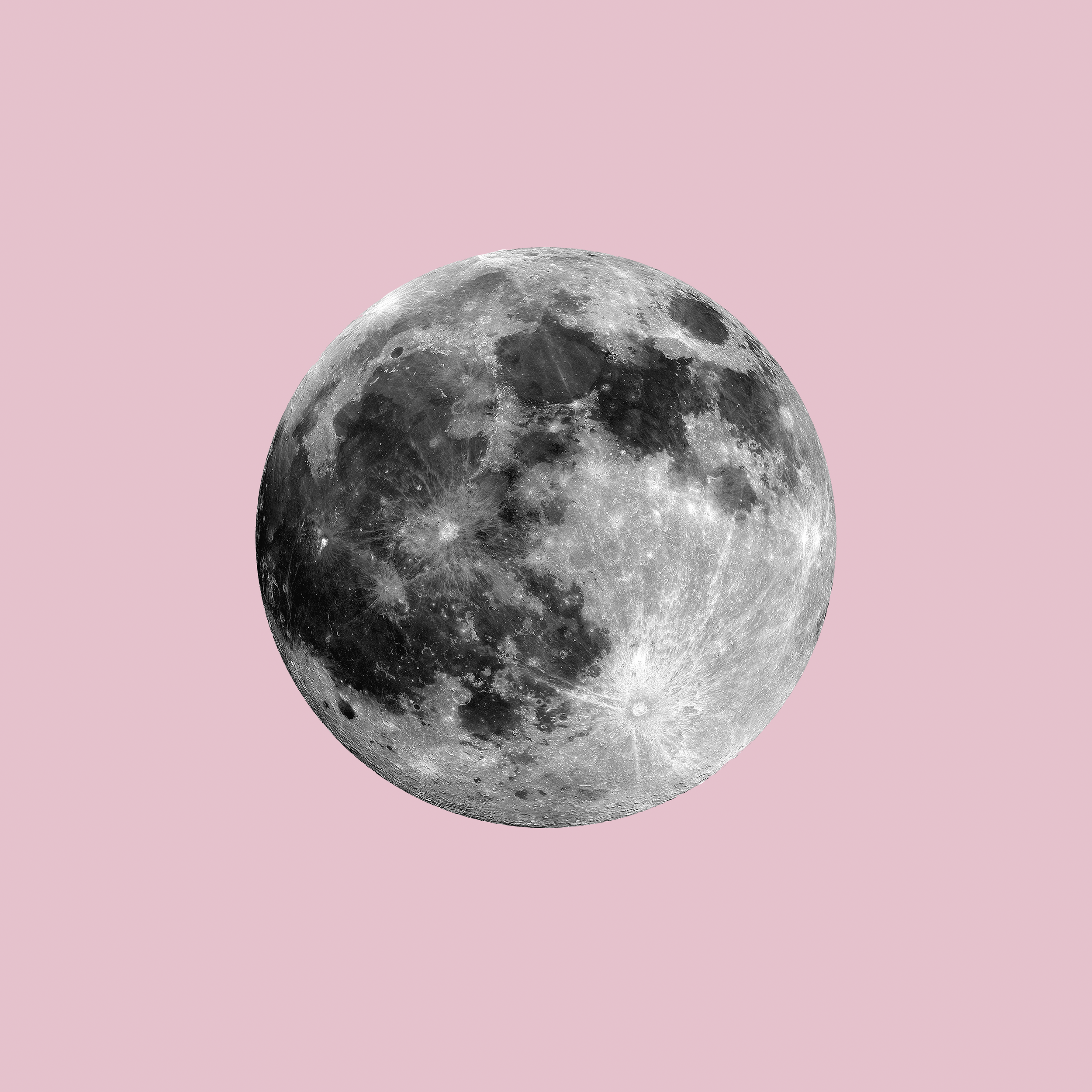 Moon On Pink.png