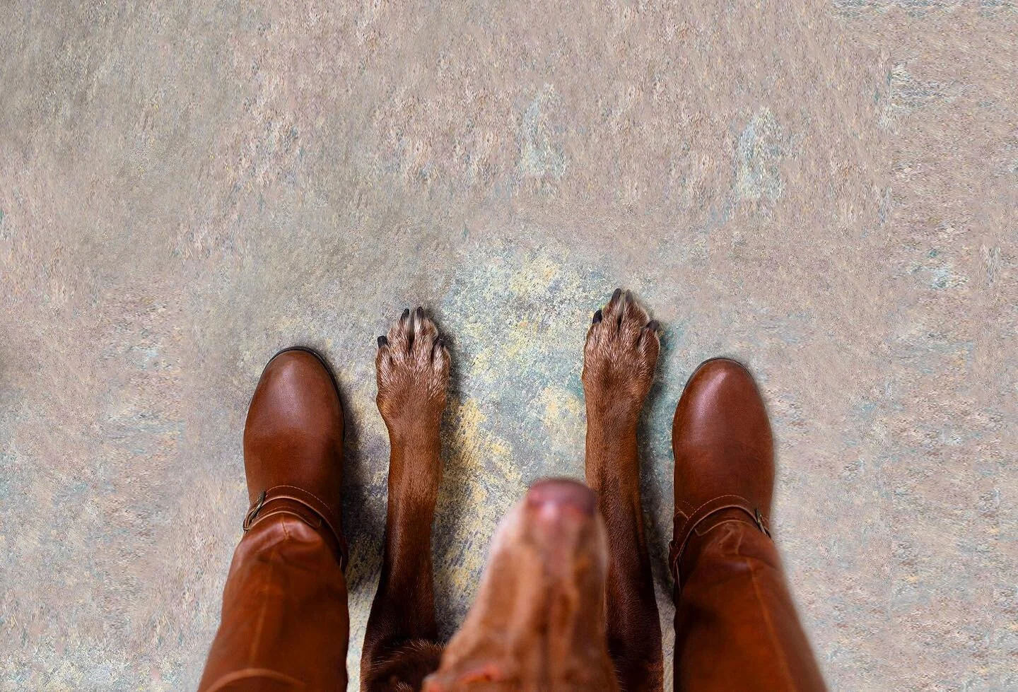 Right where my Daisy Dog wanted to be, under foot, my guarding sentinel as I watched TV, my happy girl on the trail, protecting me from strange men and other pups who wanted my attention. 

I was hers and she was mine. Banksy found his place, but has