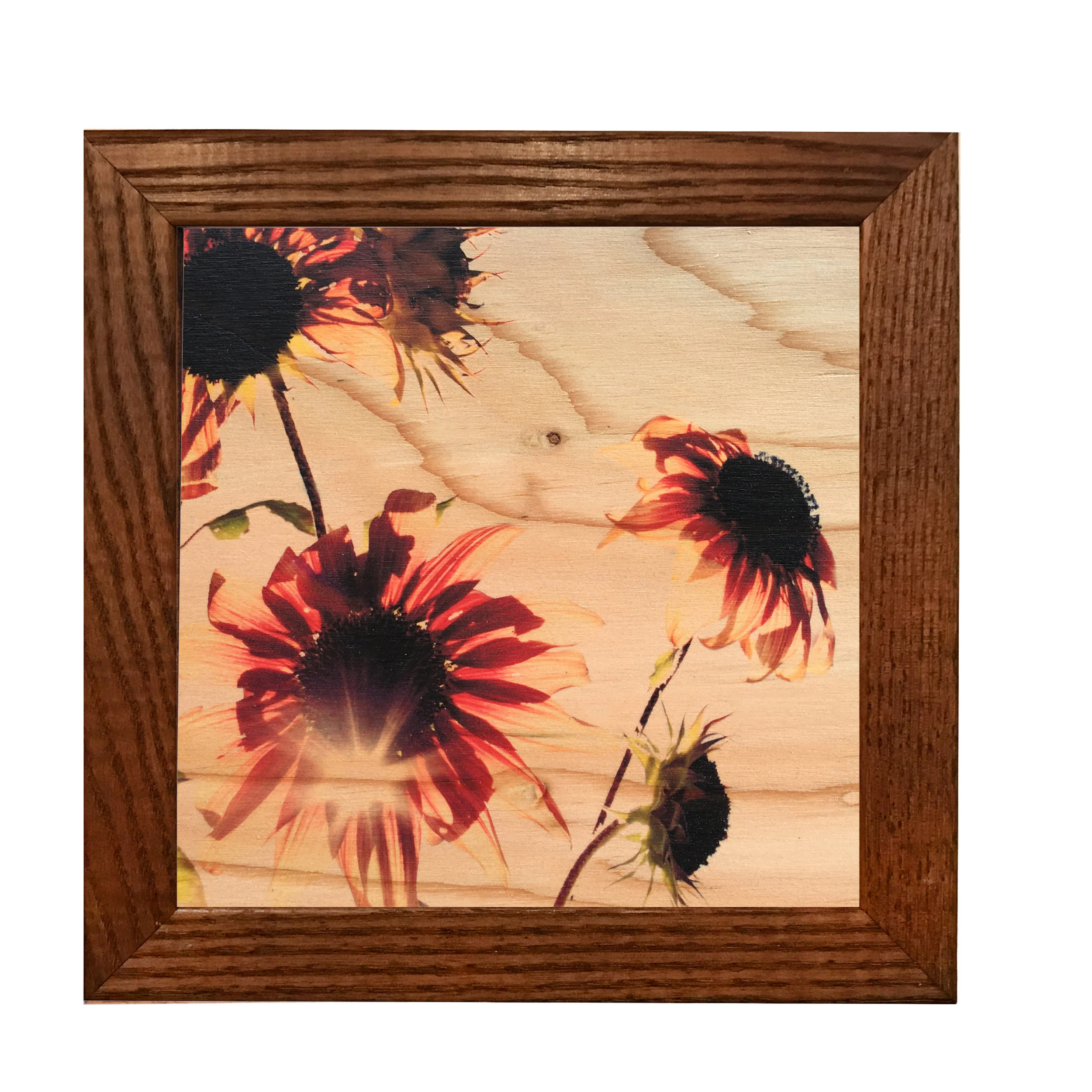 Sunflower_Square_size.jpg