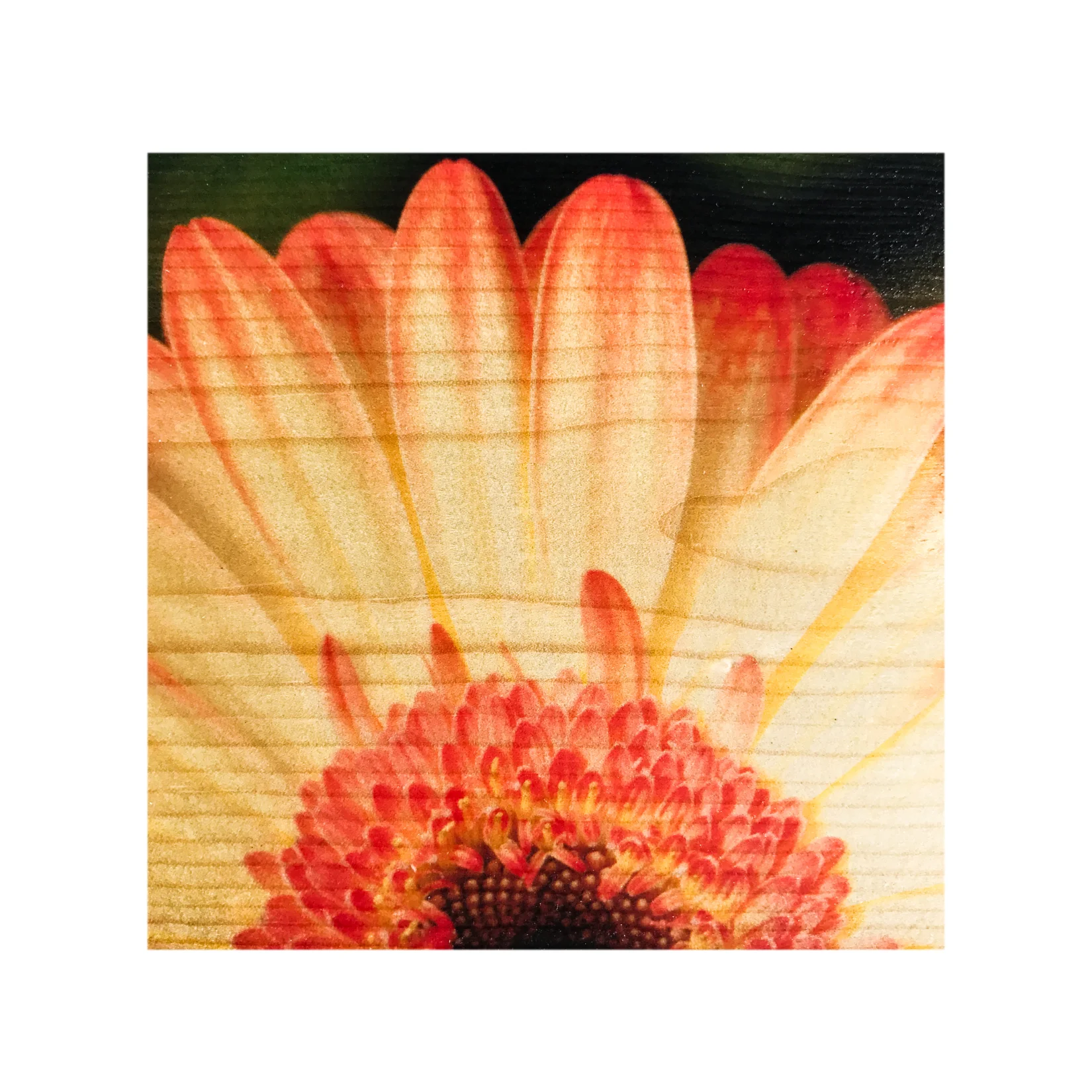 01GRDN-3.jpg