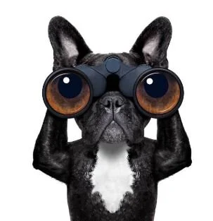 Vaardigheden interne auditor (2 daagse opleiding) [Leuven]