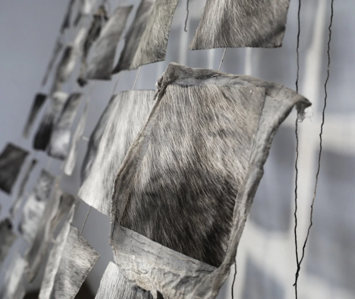 FØLGESVENN - Sally Nordström