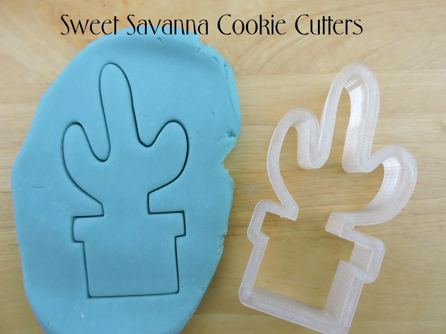 cactus-cookie-cutter-3.JPG