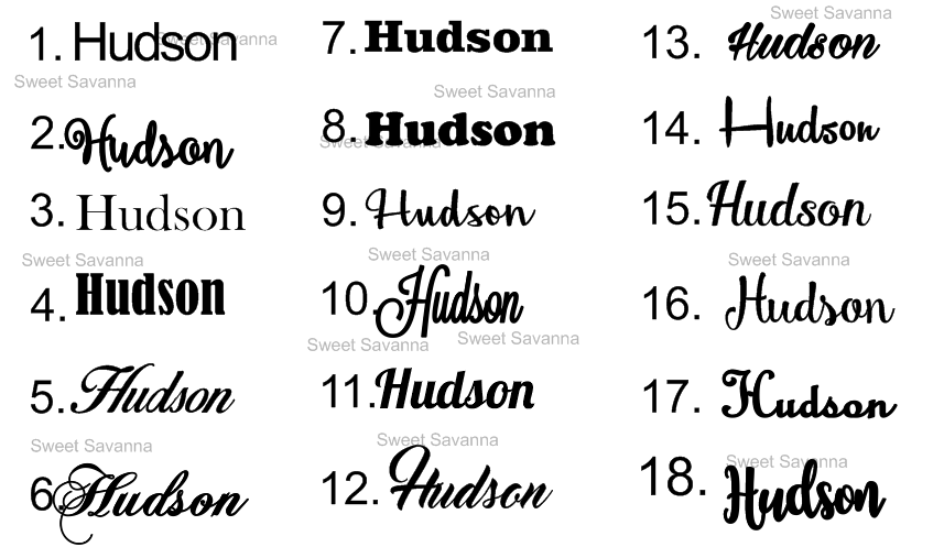 hudson2.png